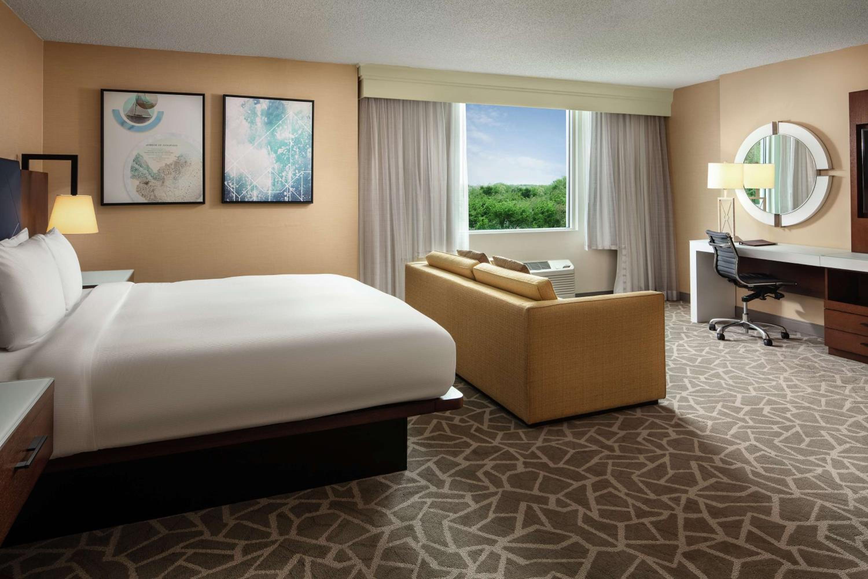 Junior King Suite - Non-Smoking - Photo 1