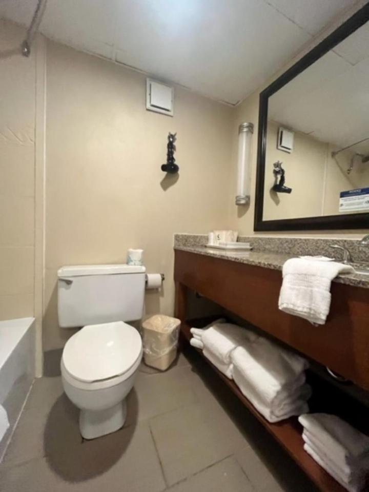King Room - Non-Smoking - Photo 3
