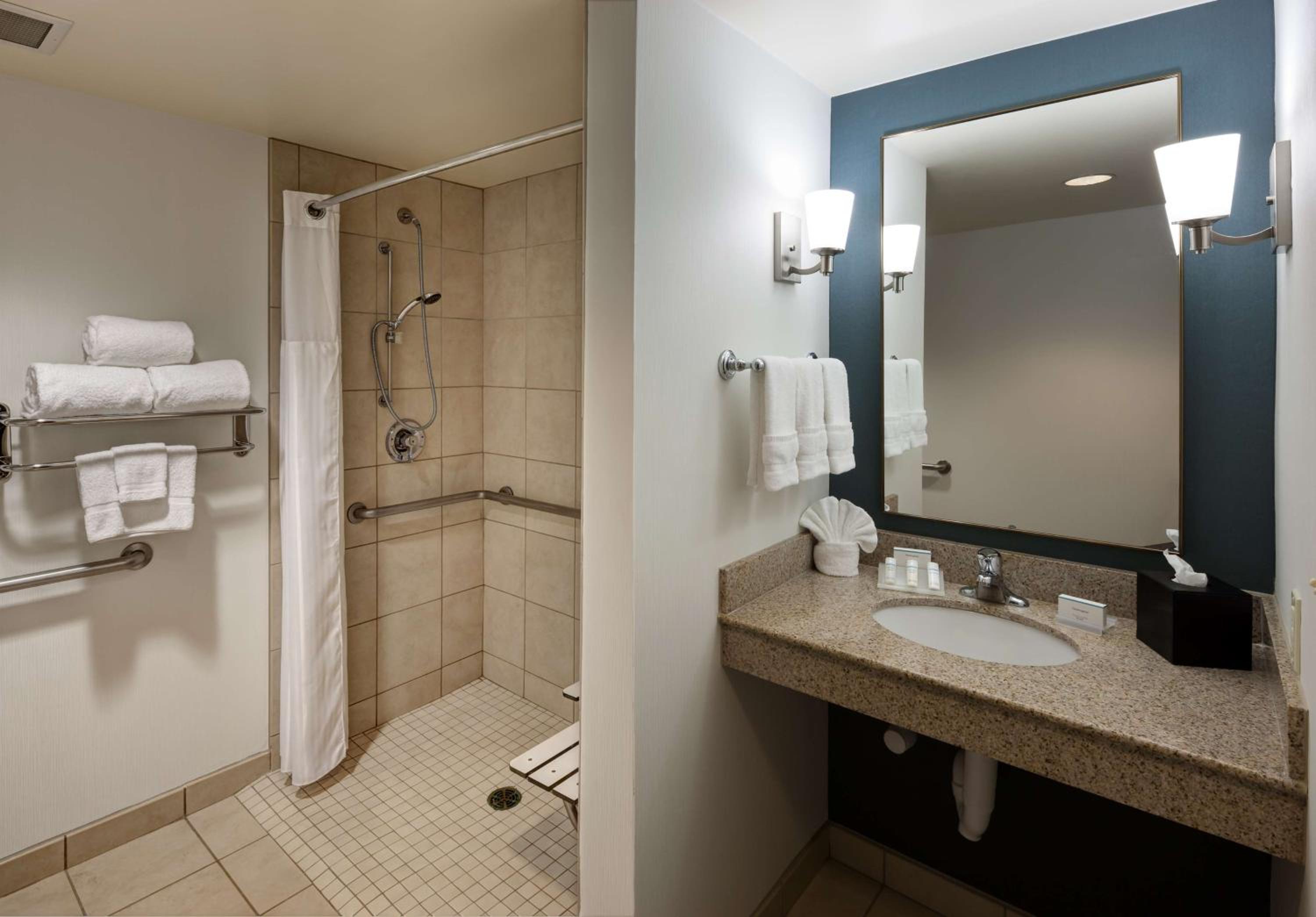 King Room with Roll-In Shower - Mobility Access - Photo 2