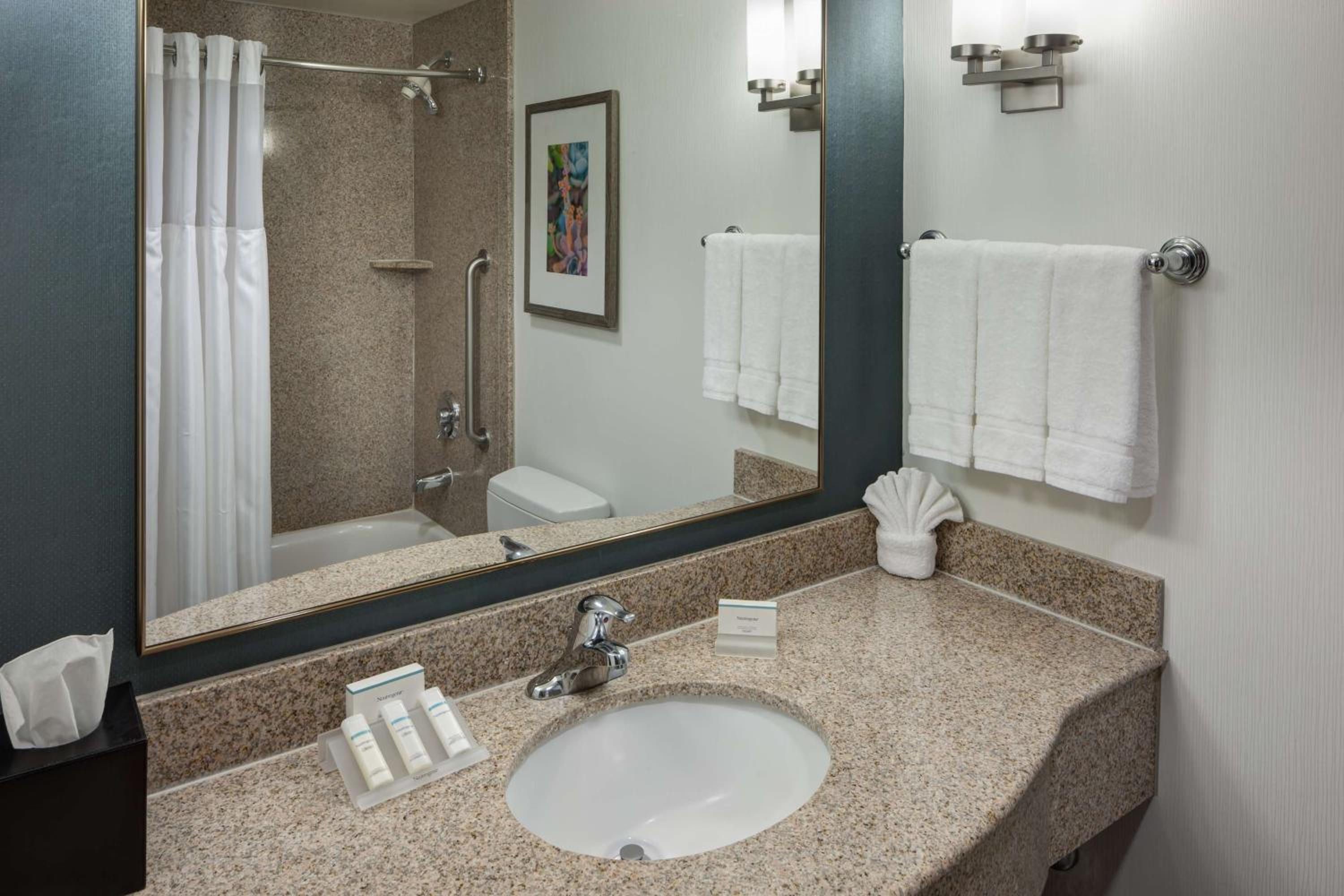 Junior King Suite with Roll-In Shower - Mobility Access - Photo 5