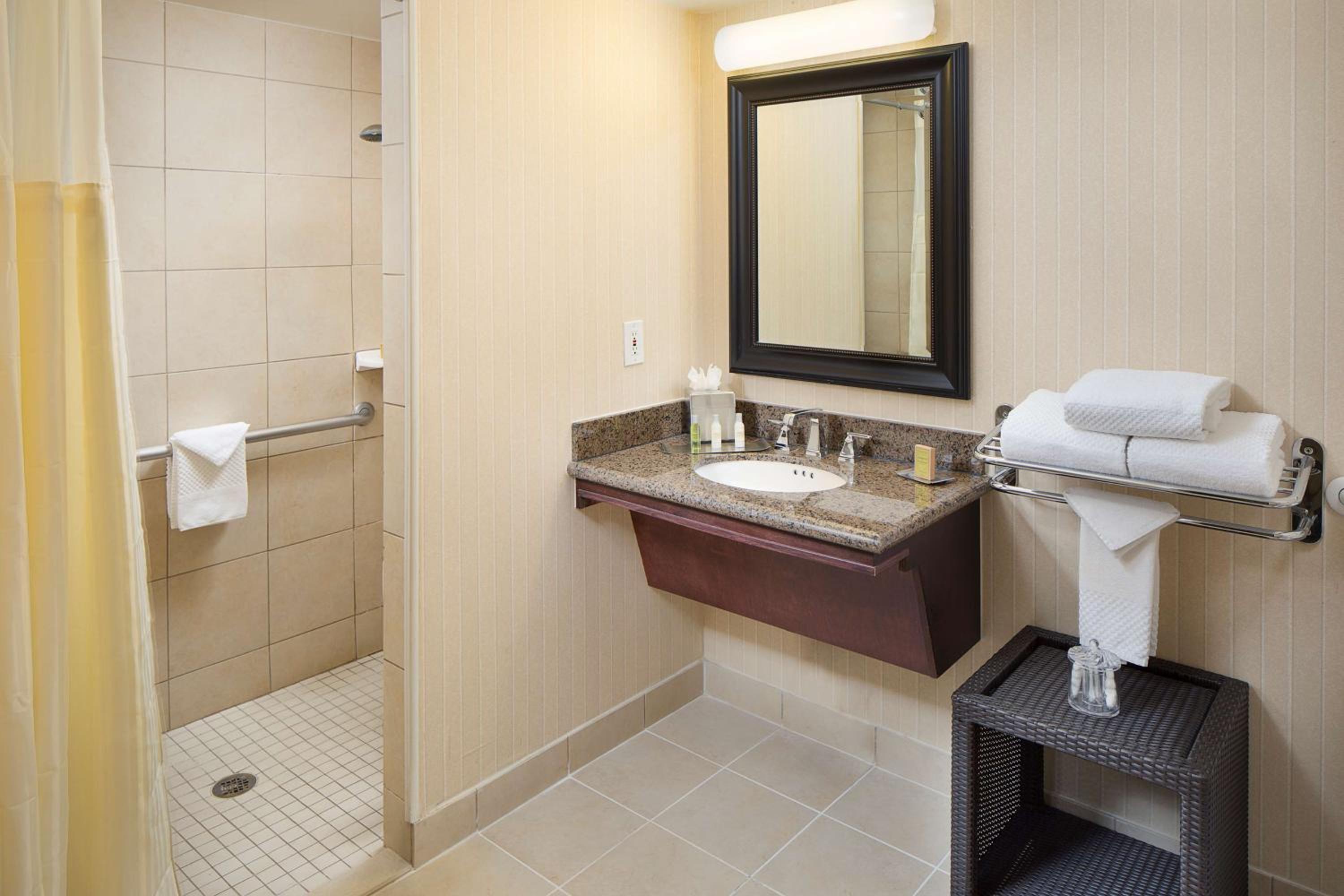 King Room with Roll-In Shower - Mobility Accessible - Photo 3