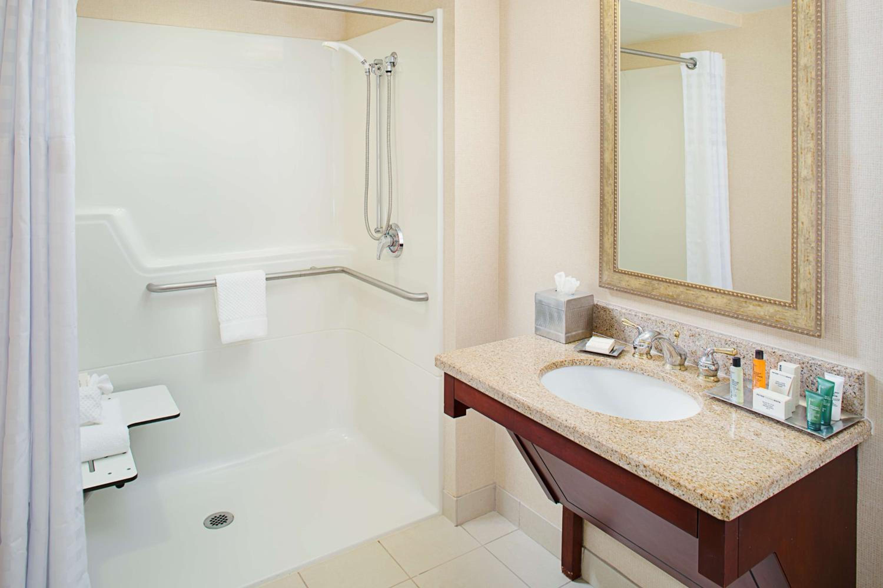 King Room with Roll-In Shower - Mobility/Hearing Accessible - Photo 3