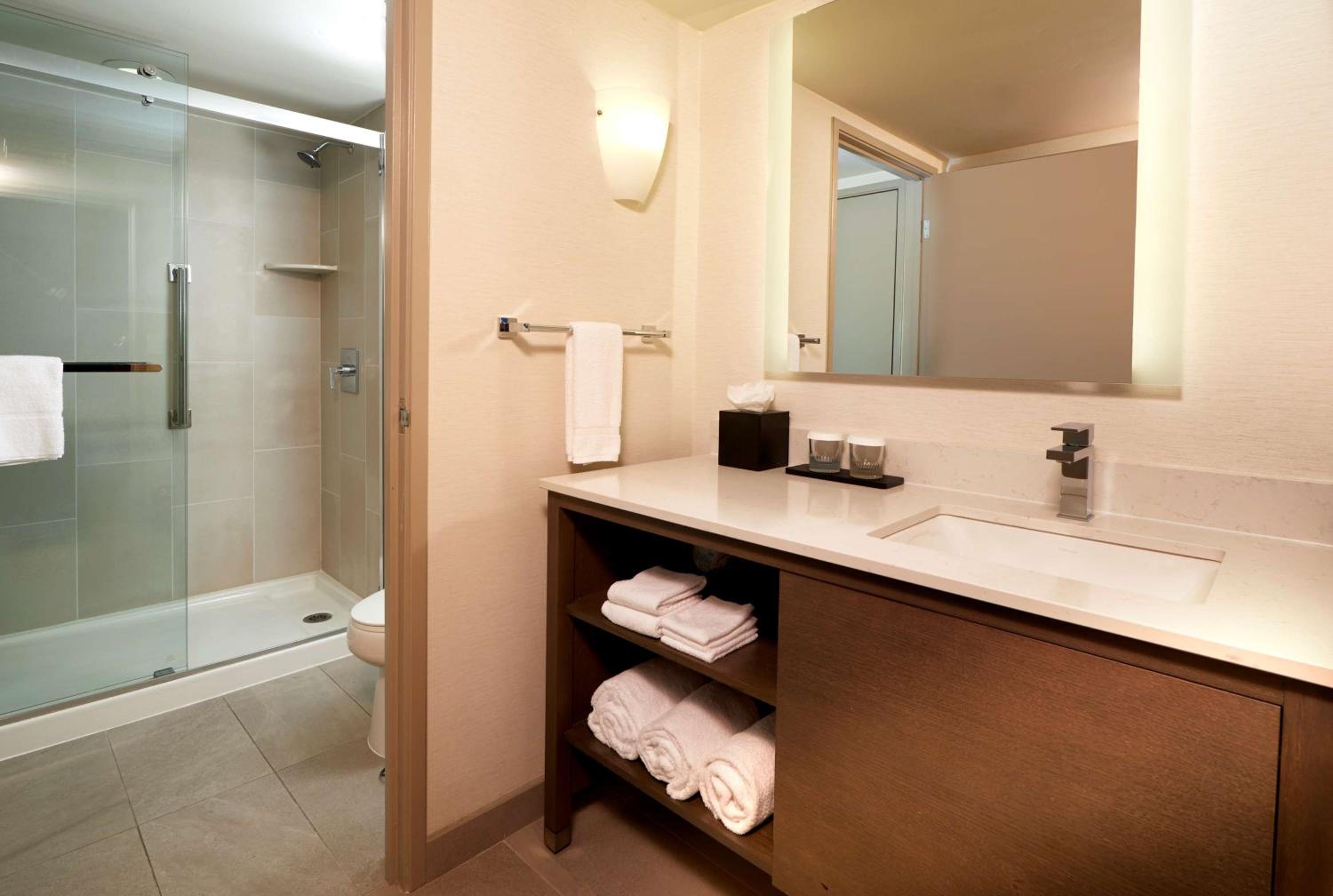 Two Room King Suite with Mountain View - Photo 3