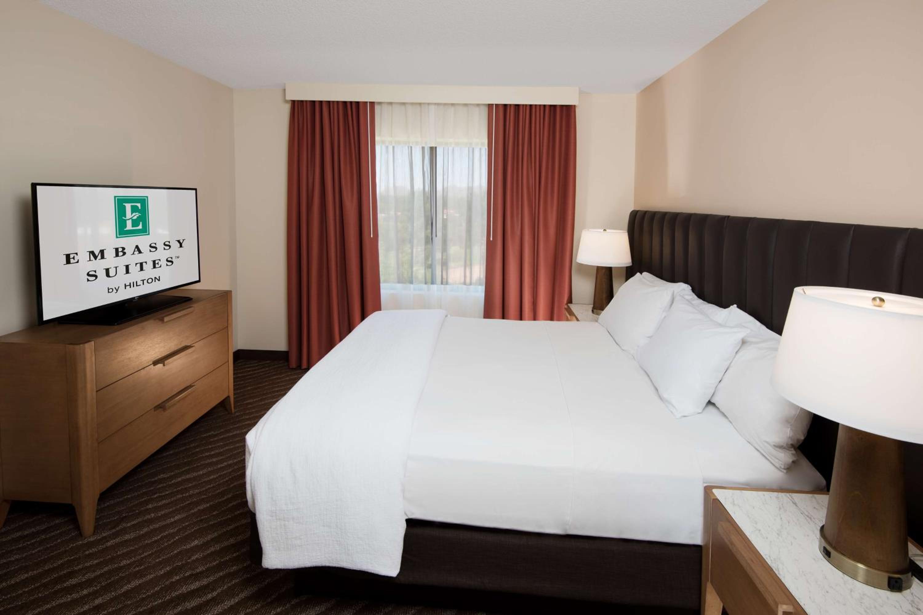 King Suite with Standard View - Photo 3