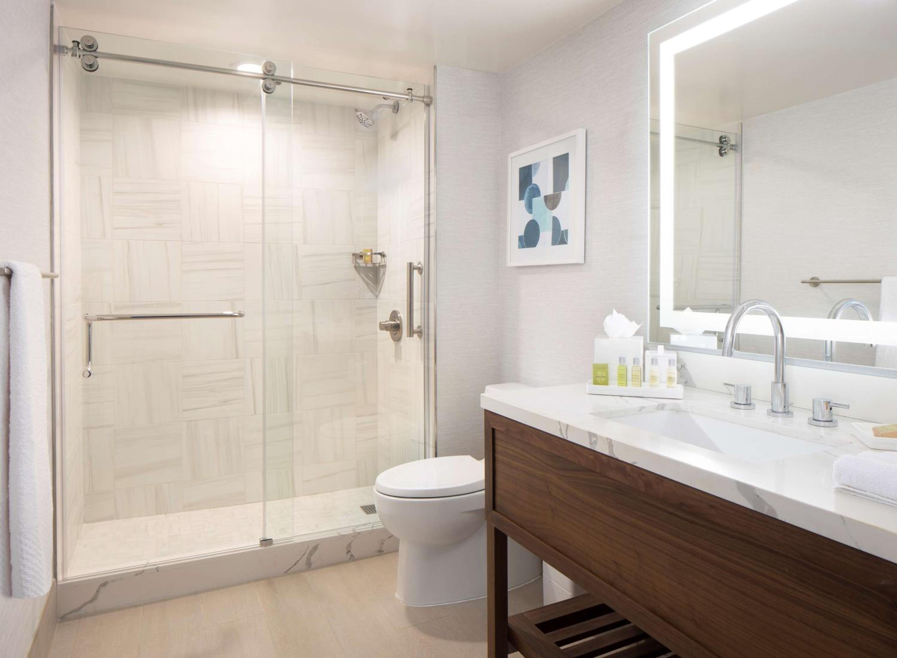 One-Bedroom King Suite with Balcony