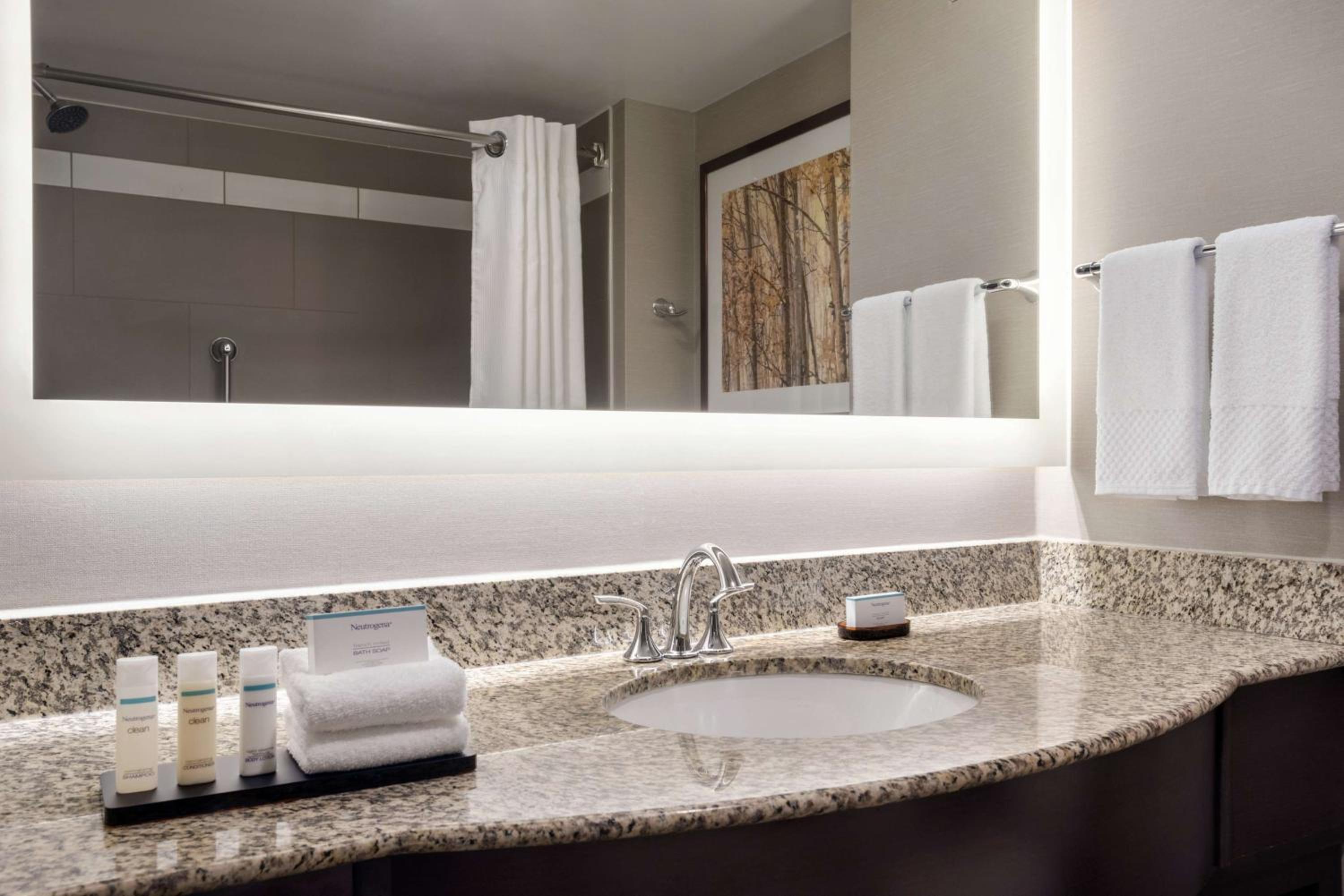 Two-Room King Suite - Non-Smoking - Photo 6