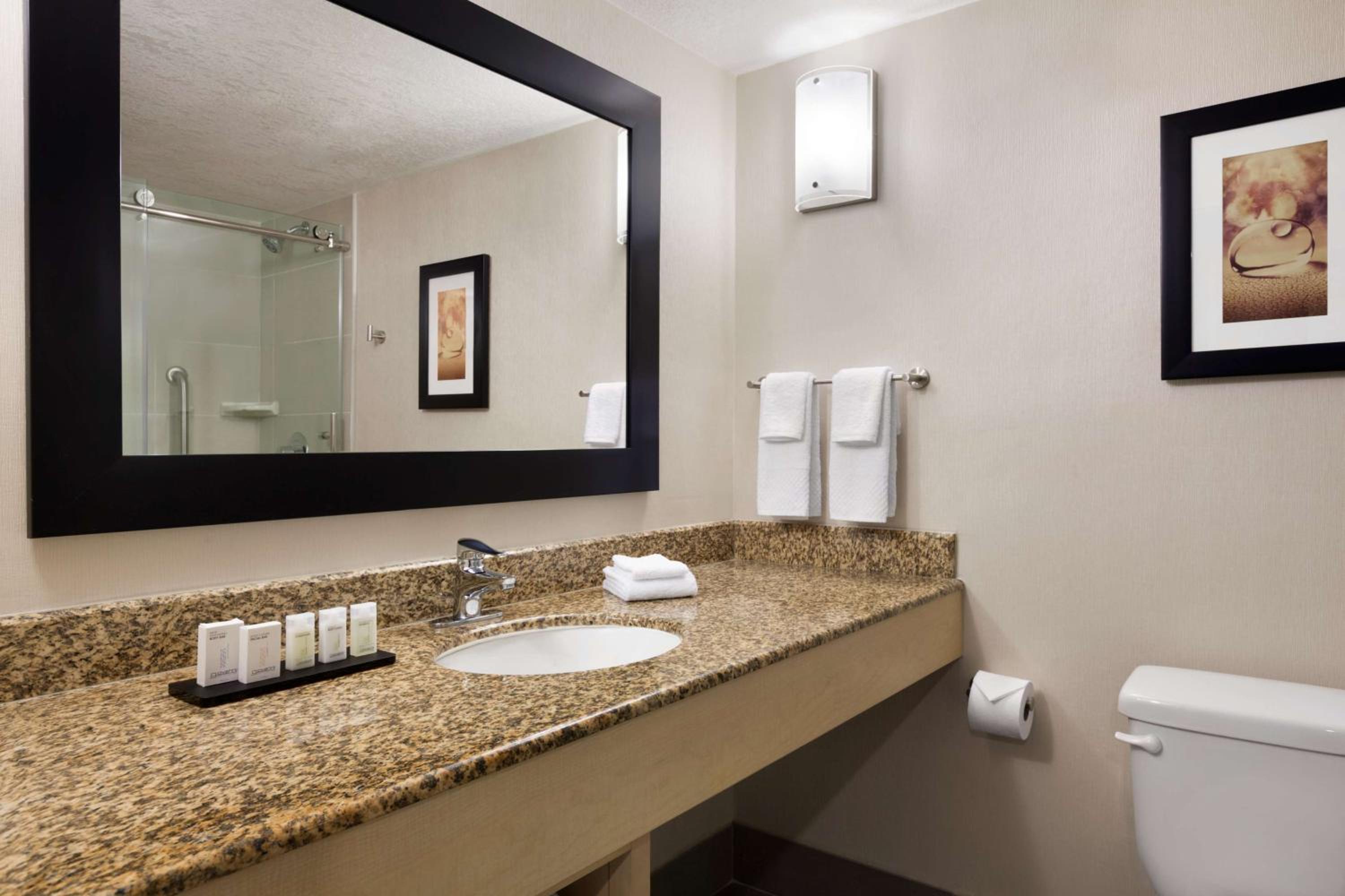Three-Room Conference King Suite photo 2