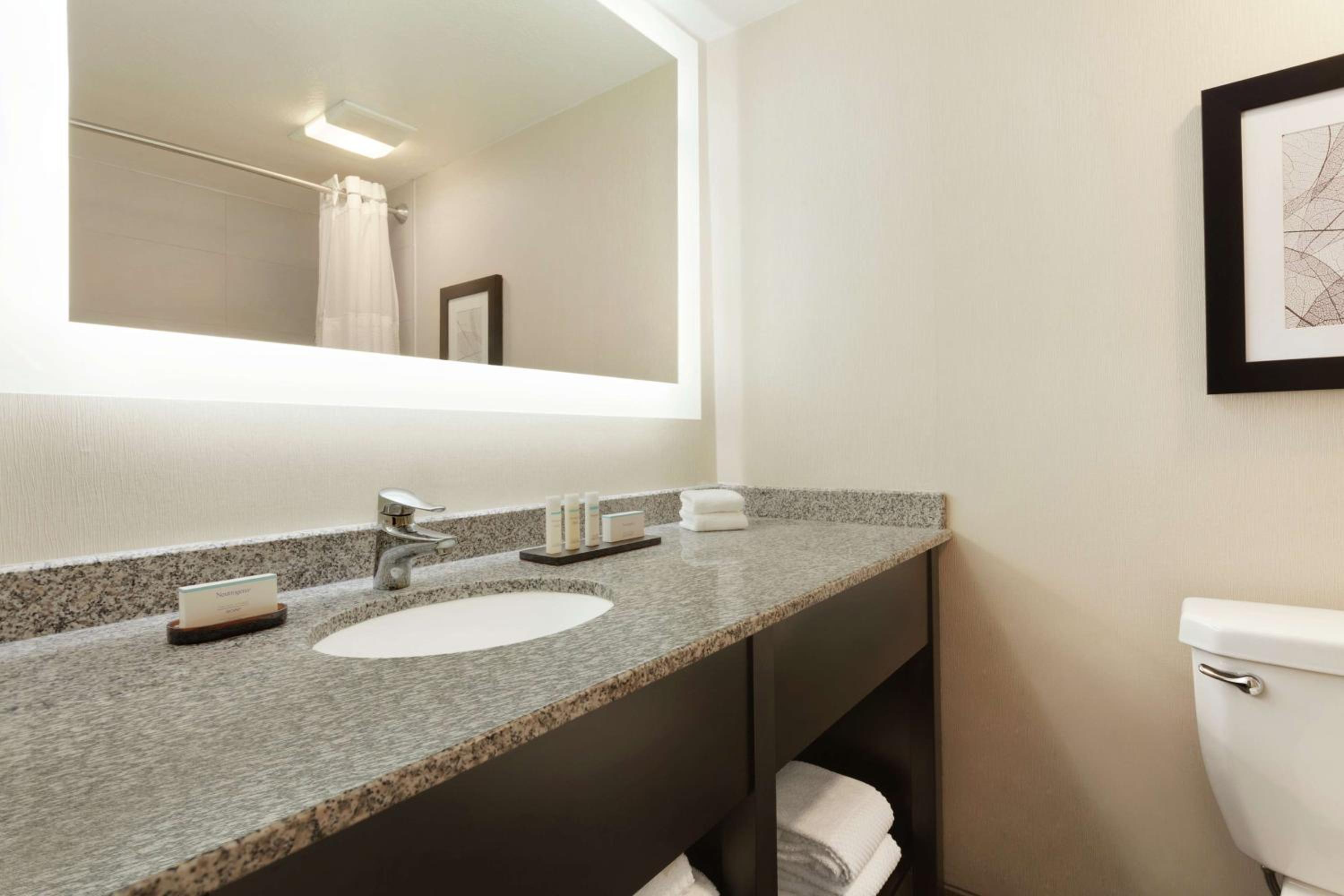 King Suite - Photo 4