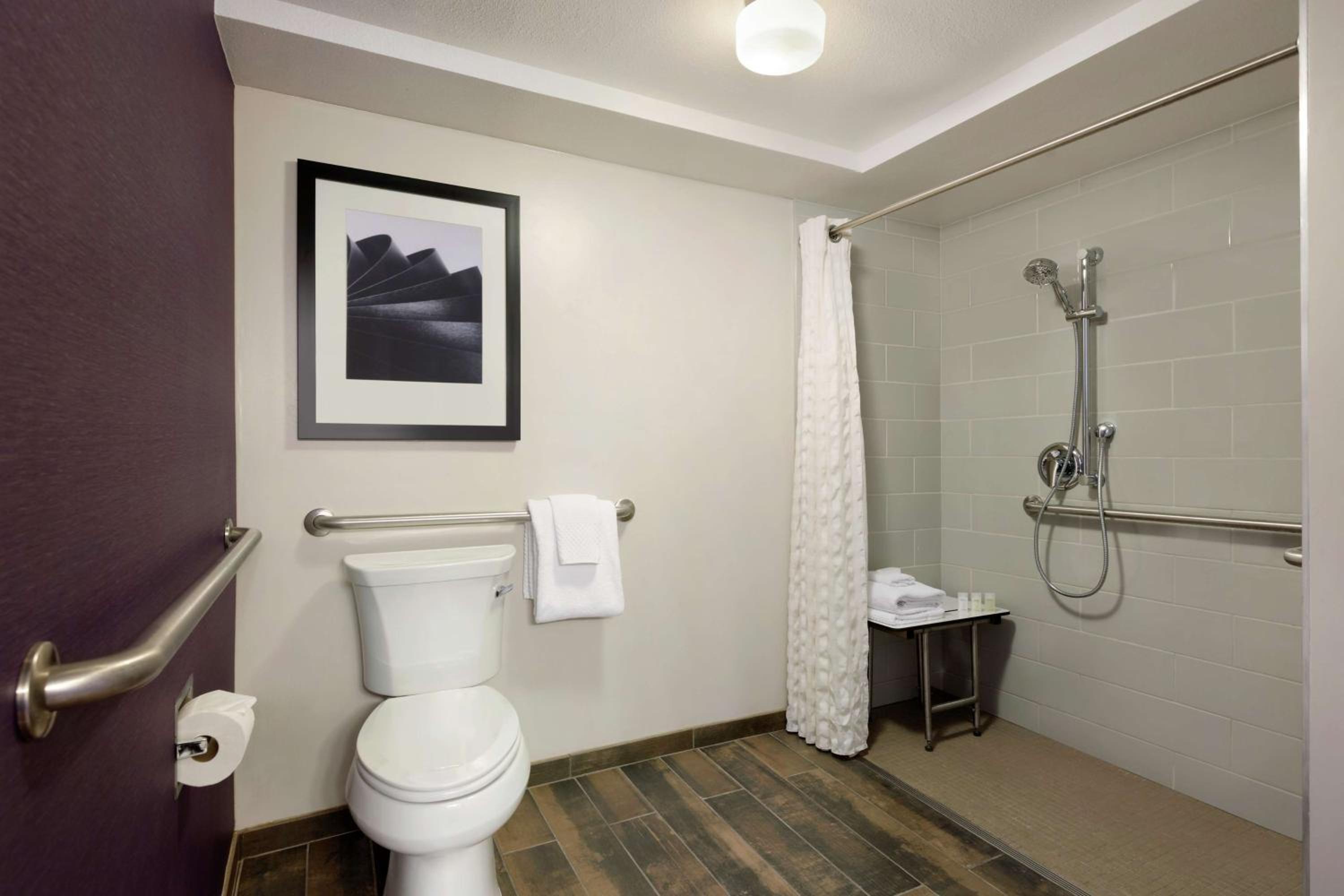 One-Bedroom King Suite with Roll-In Shower - Mobility Access/Non-Smoking - Photo 2
