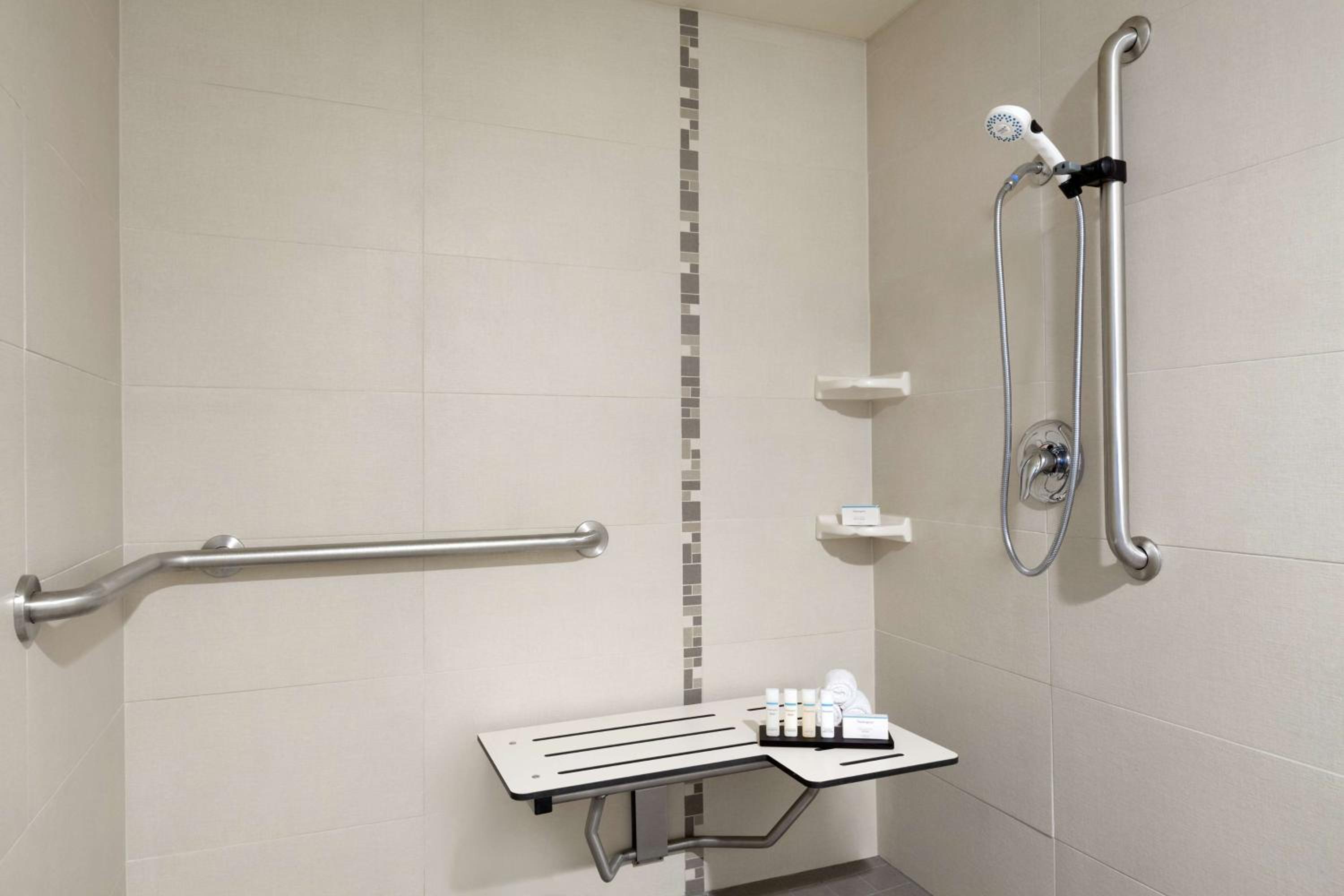 One-Bedroom Double Suite with Roll-In Shower - Mobility Access - Photo 3