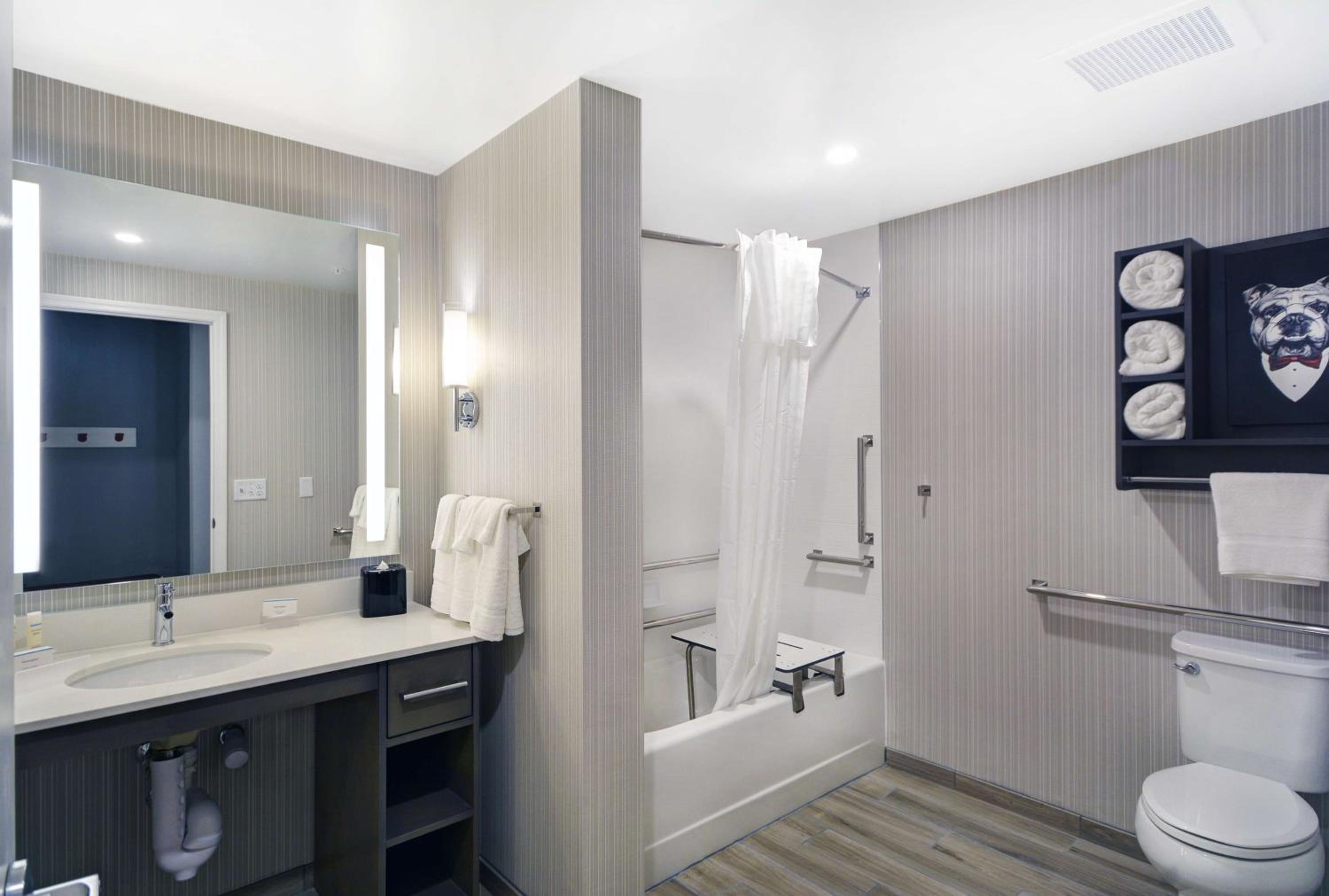 King Suite - Mobility Accessible/Non-Smoking photo 3