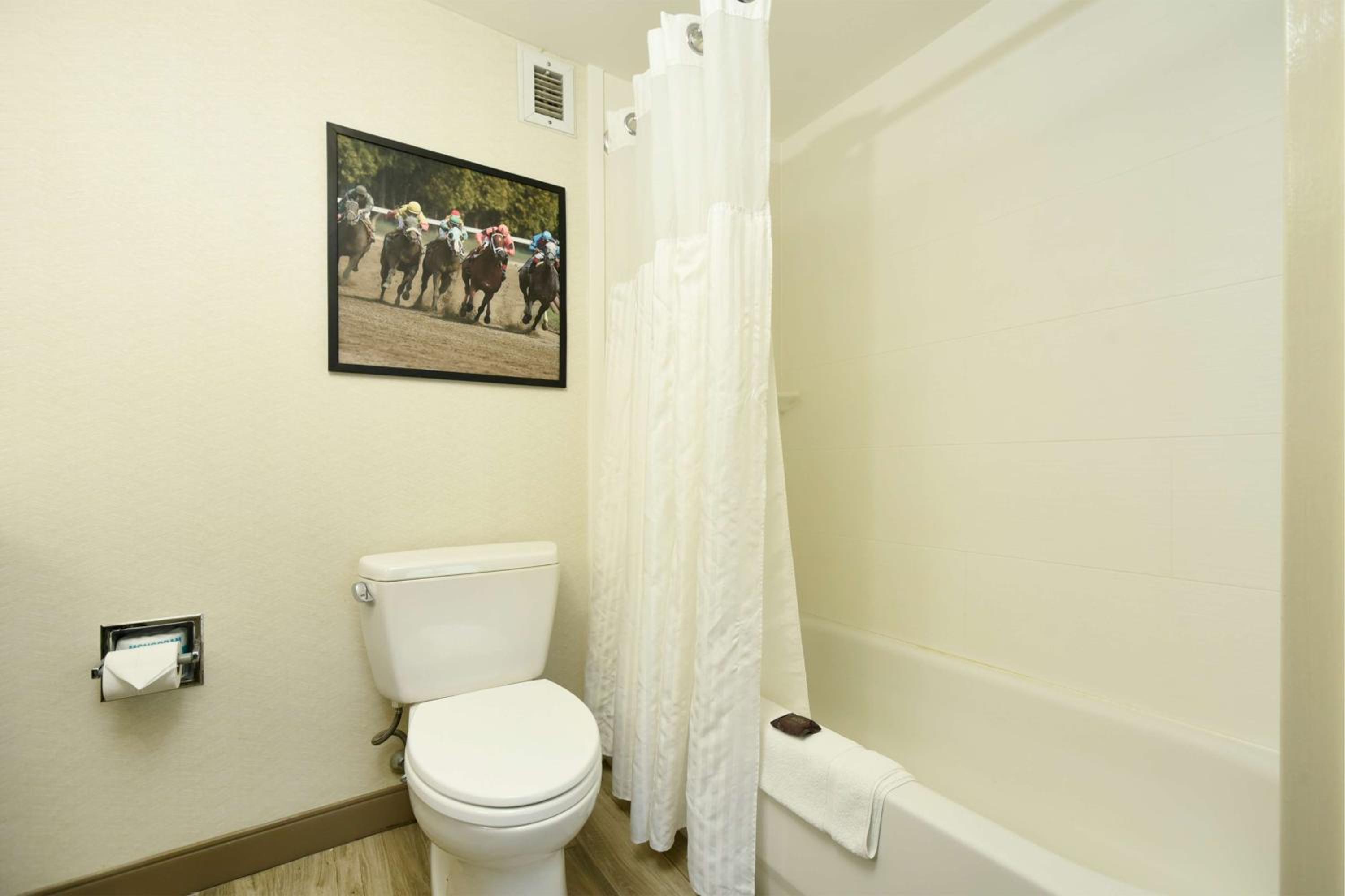 King Room with Bath Tub - Hearing Accessible  - Photo 15