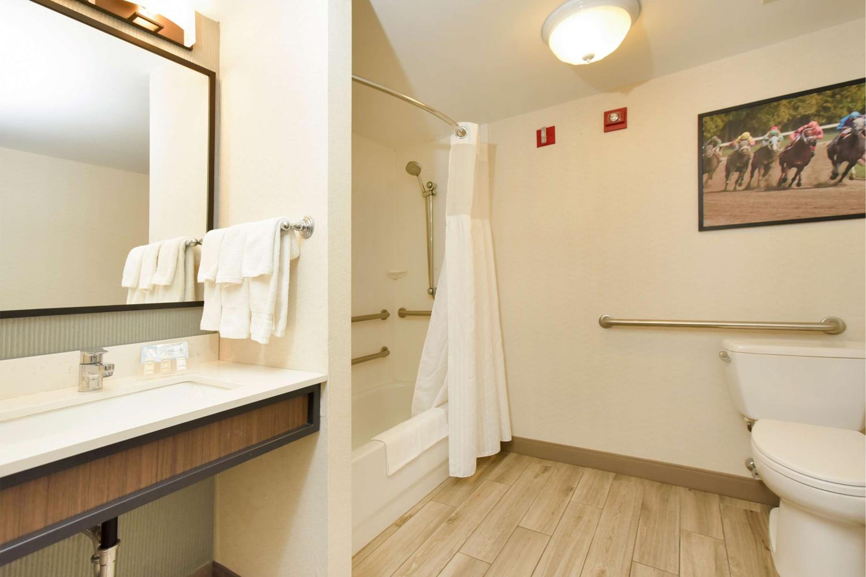 King Room with Bath Tub - Hearing Accessible  - Photo 14