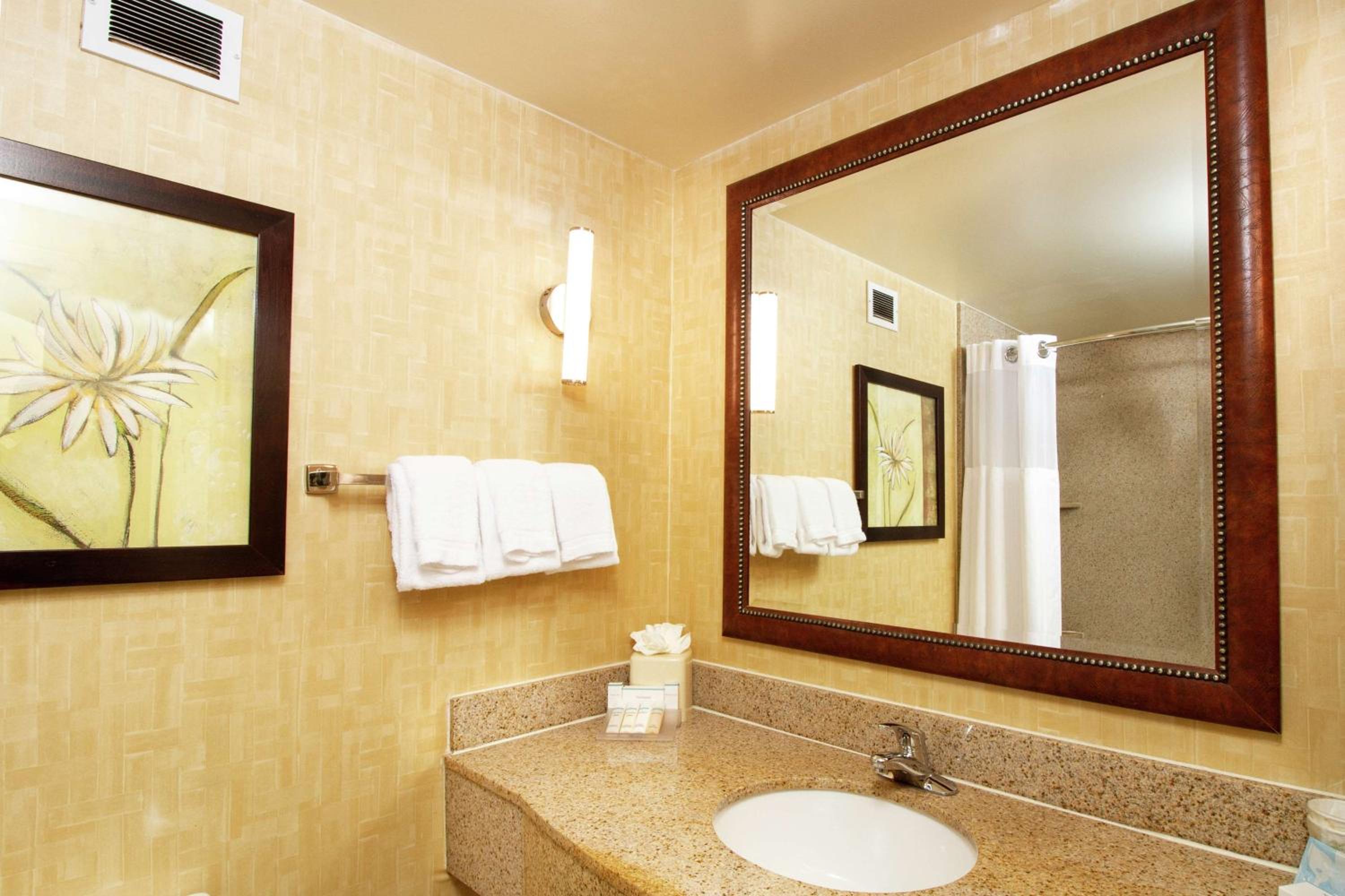 One-Bedroom Queen Suite with Sofa Bed - Photo 3