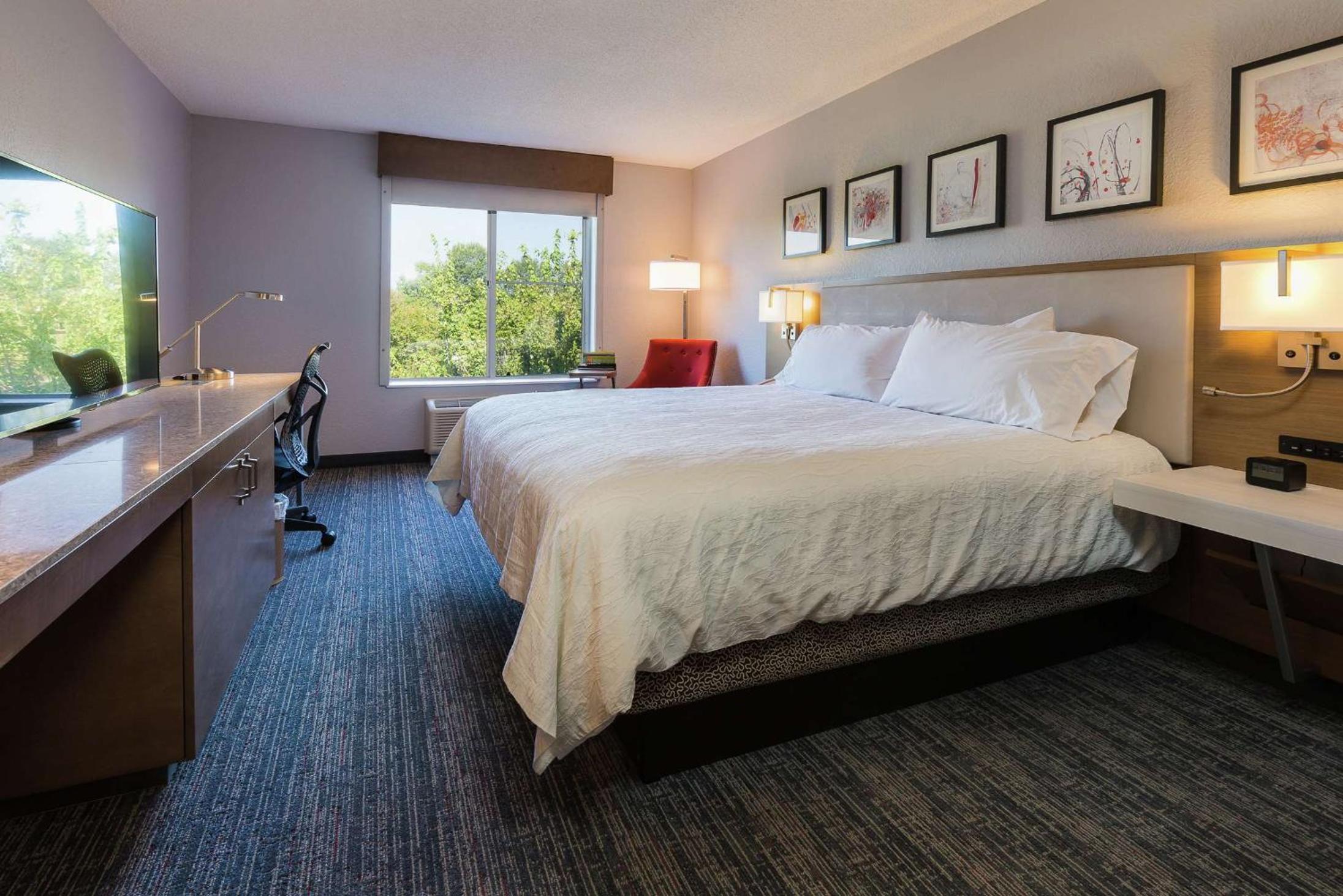 King Room - Photo 4