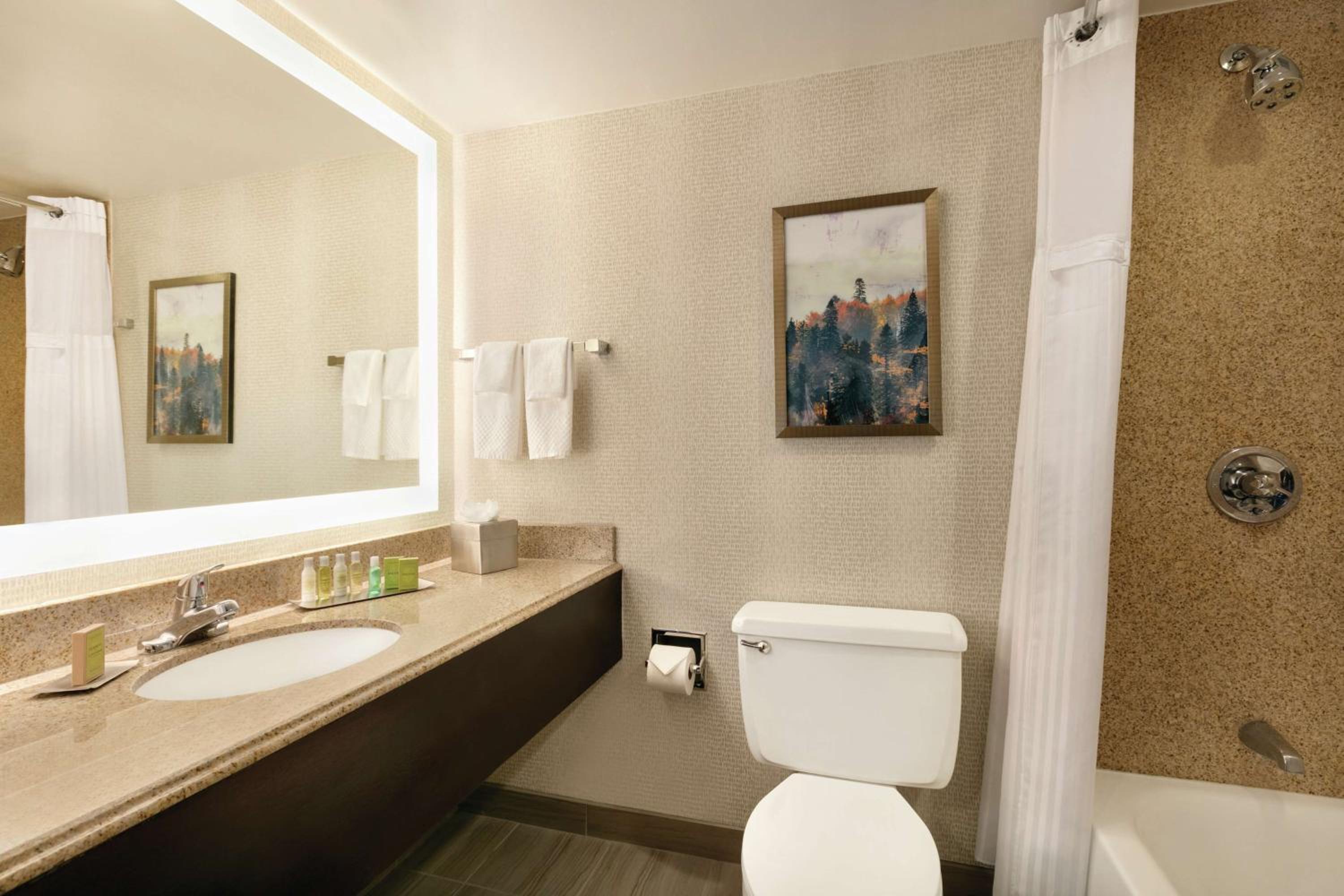 King Room - Hearing Access - Photo 7
