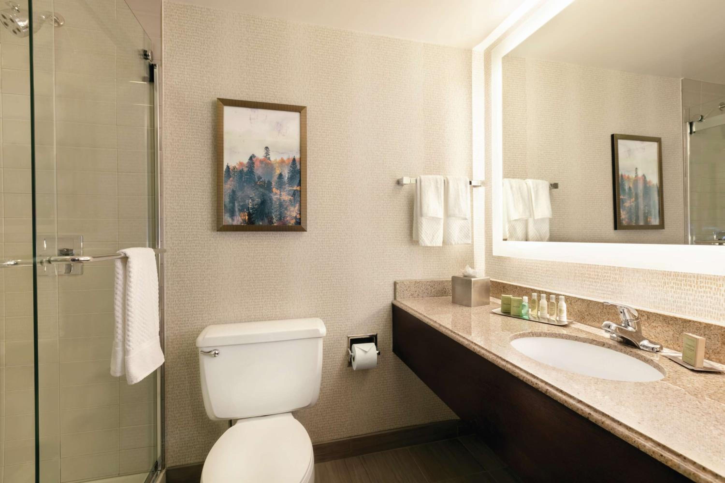 King Room - Non-Smoking - Photo 6