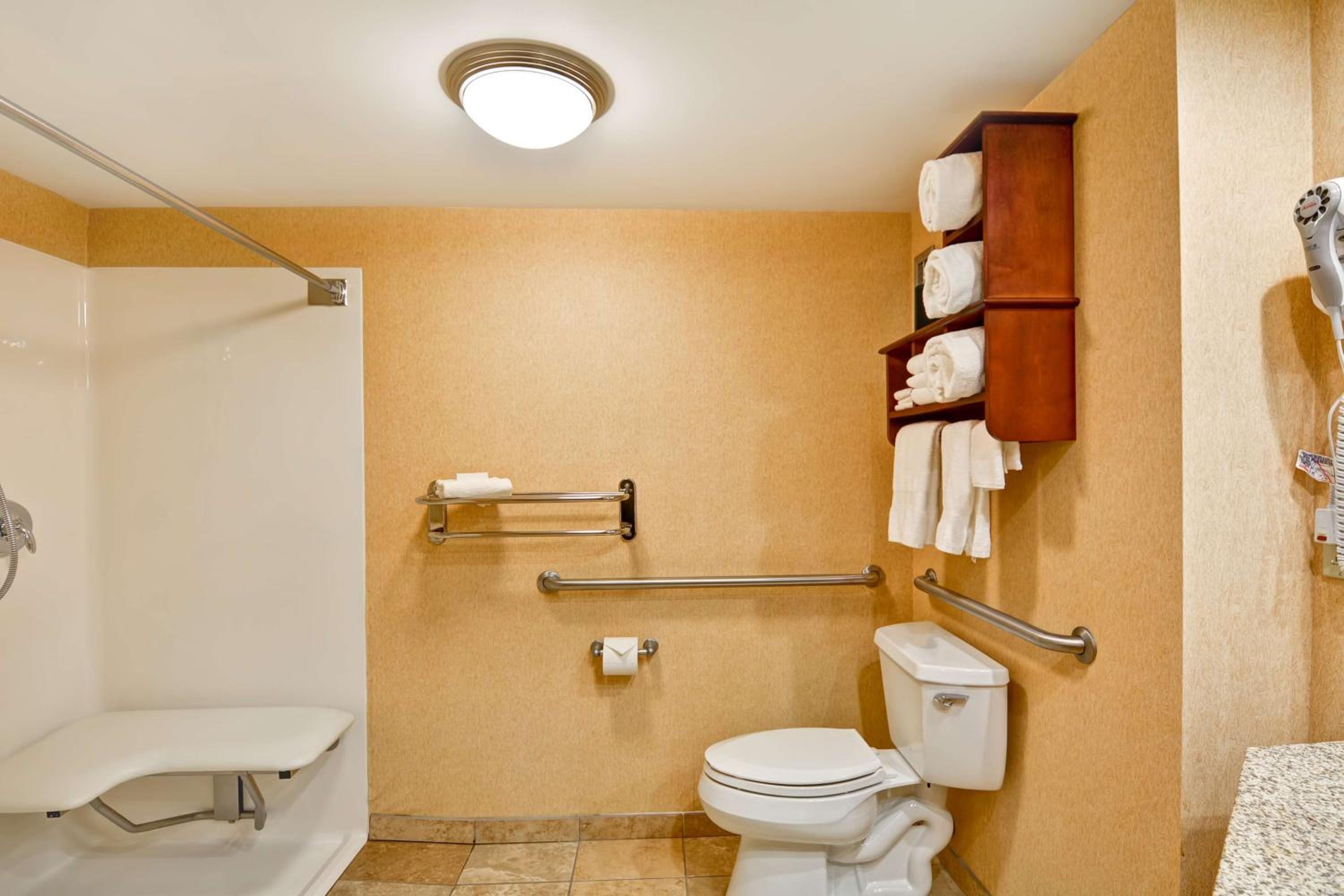 Queen Room with Roll-In Shower - Disability Access/Non-Smoking - Photo 4