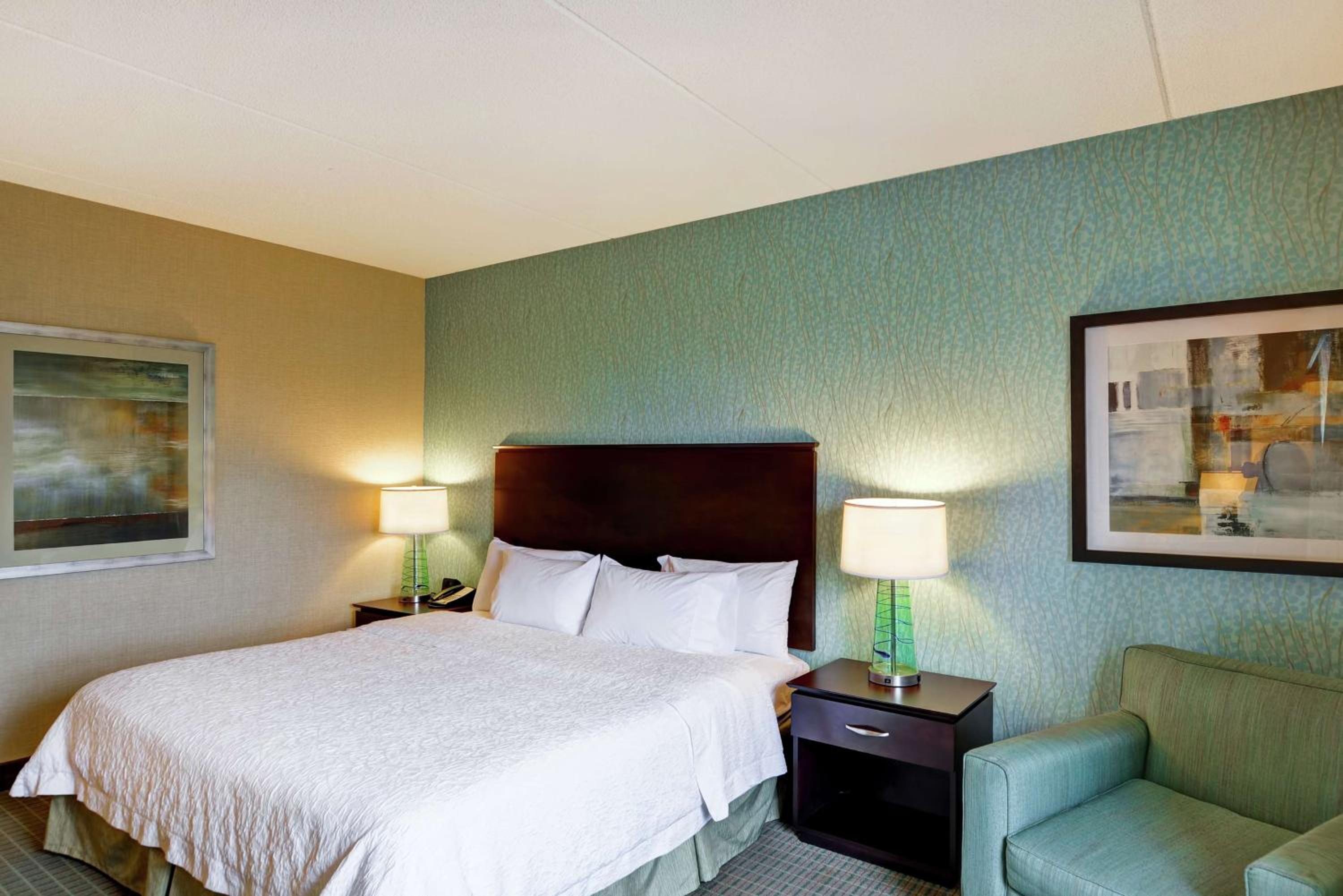 King Room with Roll-In Shower - Mobility Access/Non-Smoking - Photo 1