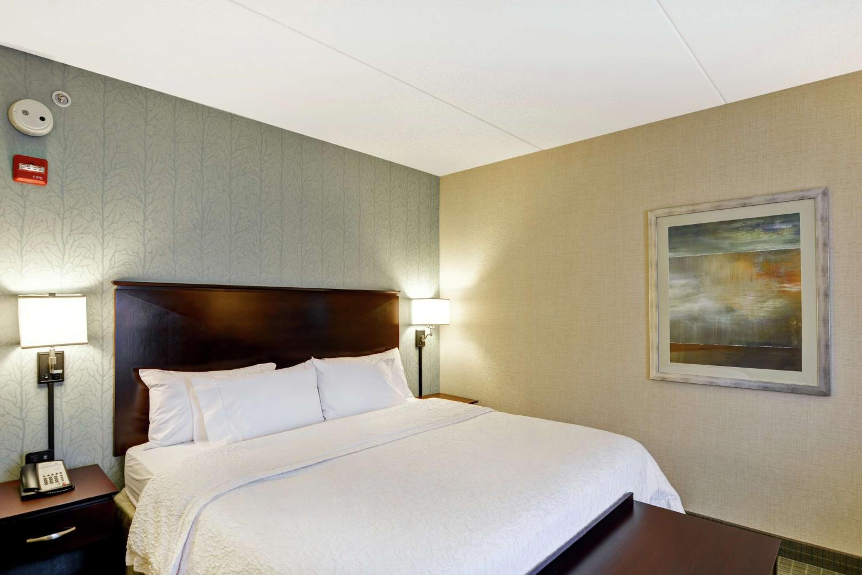 King Room - Non-Smoking - Photo 1