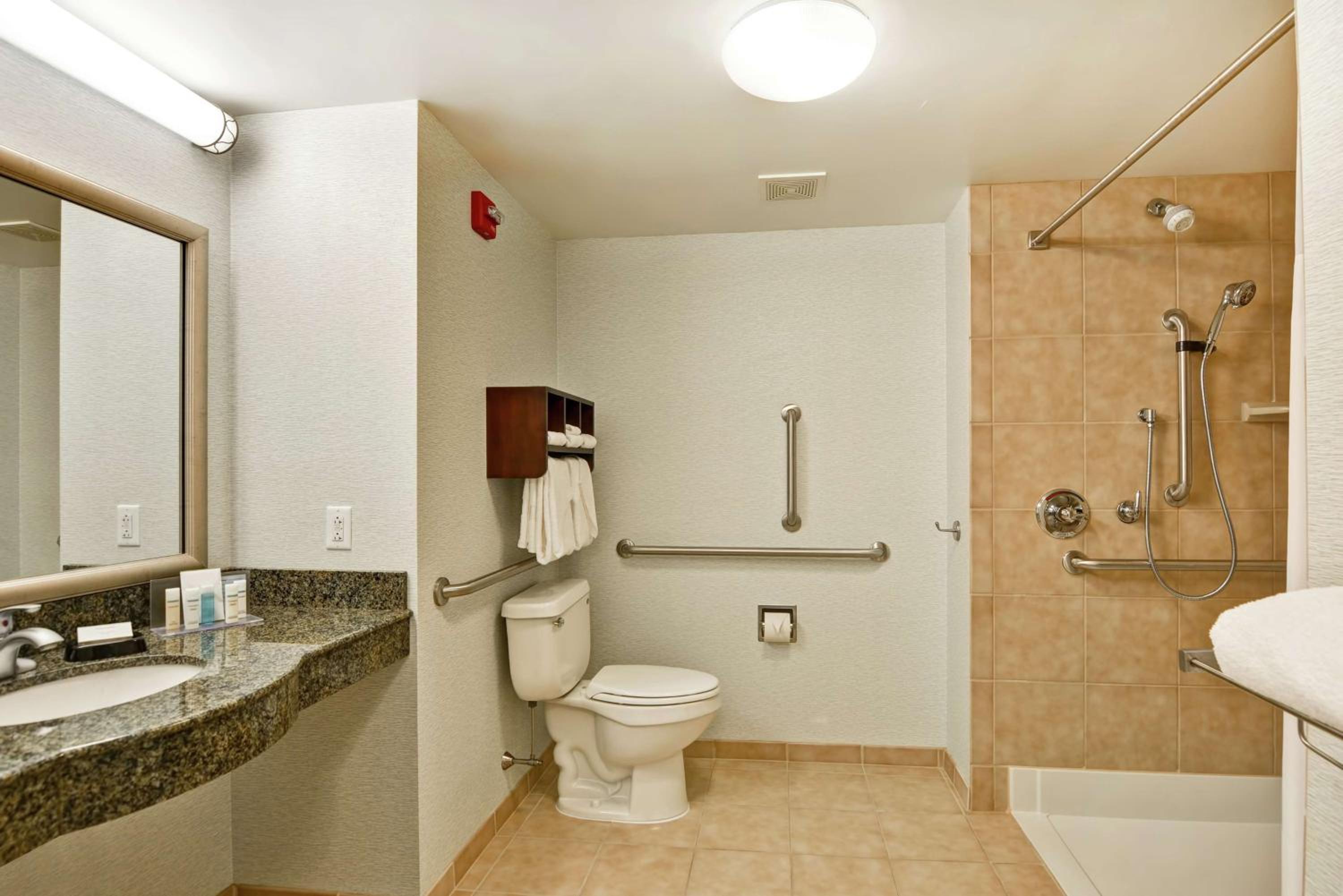 King Room with Roll-In Shower - Mobility Access/Non-Smoking - Photo 2