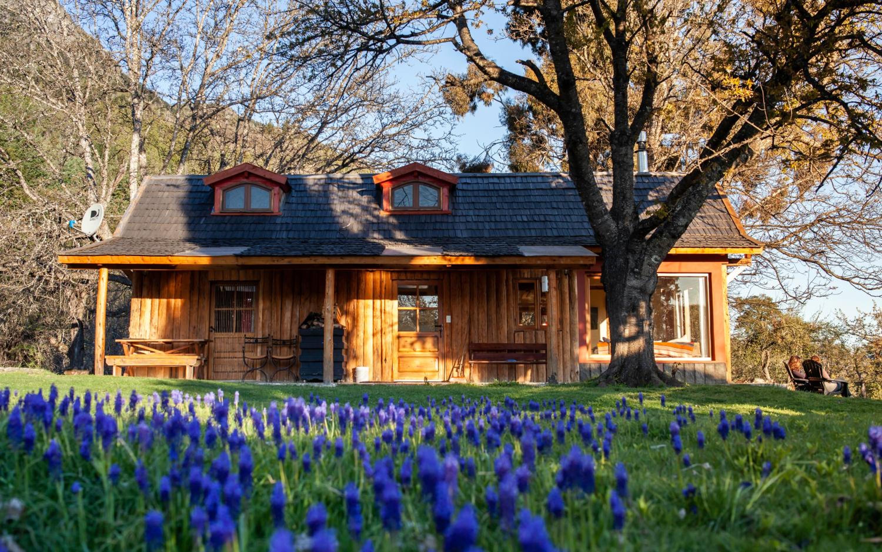 Chalet photo 3