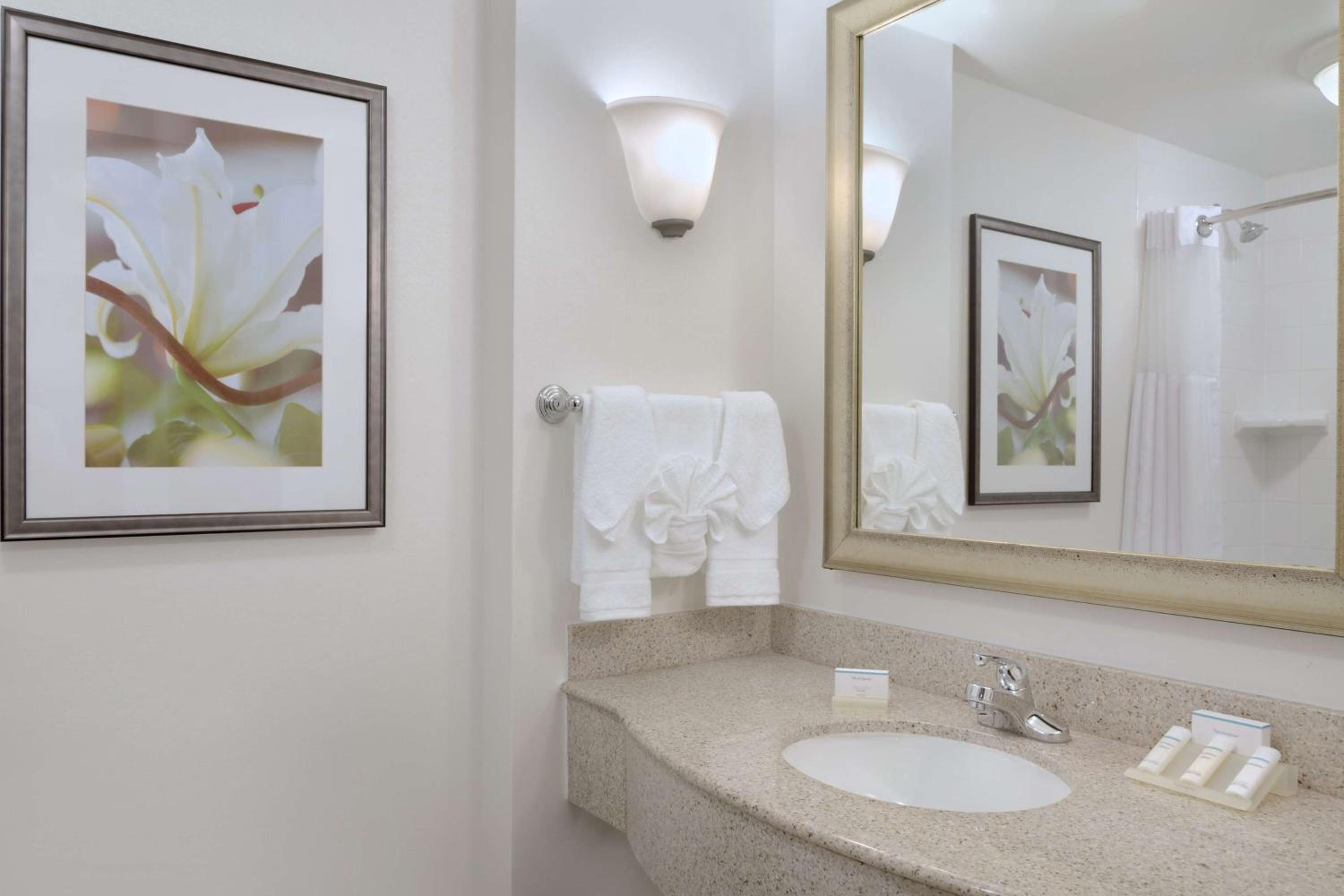 One-Bedroom King Suite with Sofa Bed - Photo 4