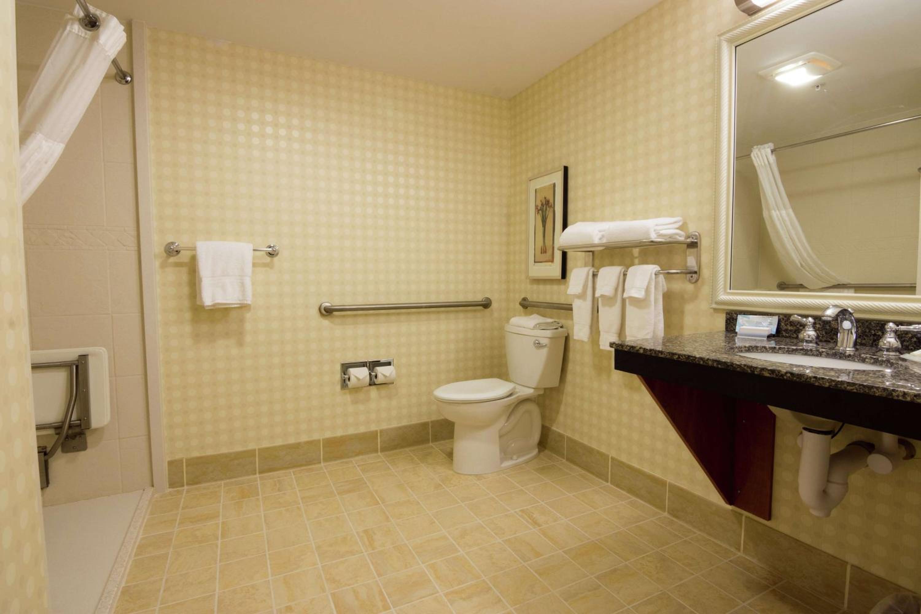 King Room with Roll-In Shower - Mobility/Hearing Accessible - Photo 4