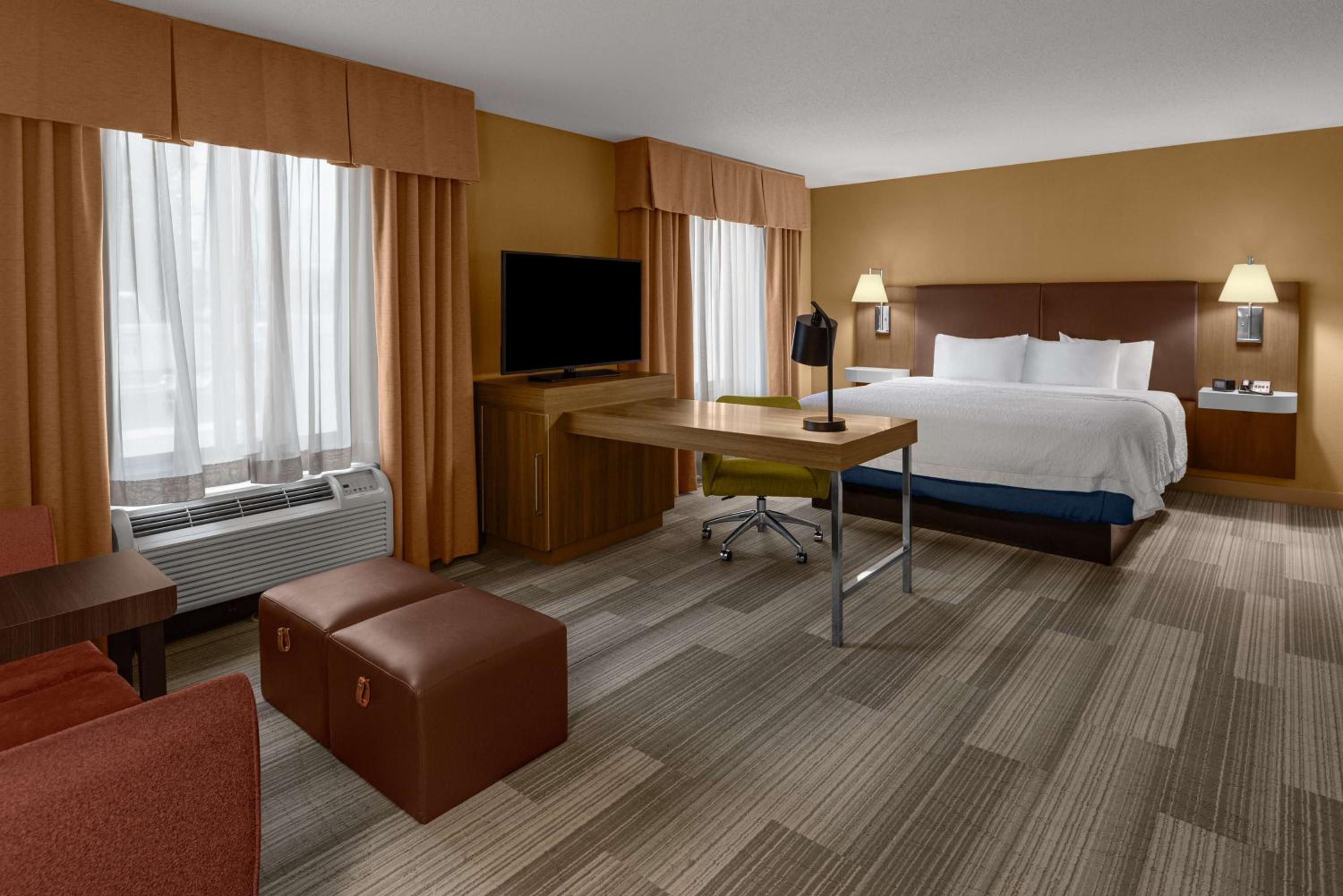 King Studio Suite with Sofa Bed - Non-Smoking - Photo 3