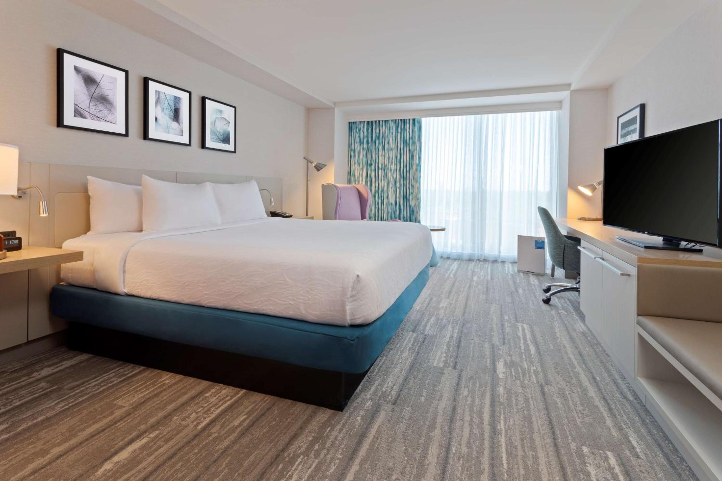 King Room thumbnail 5