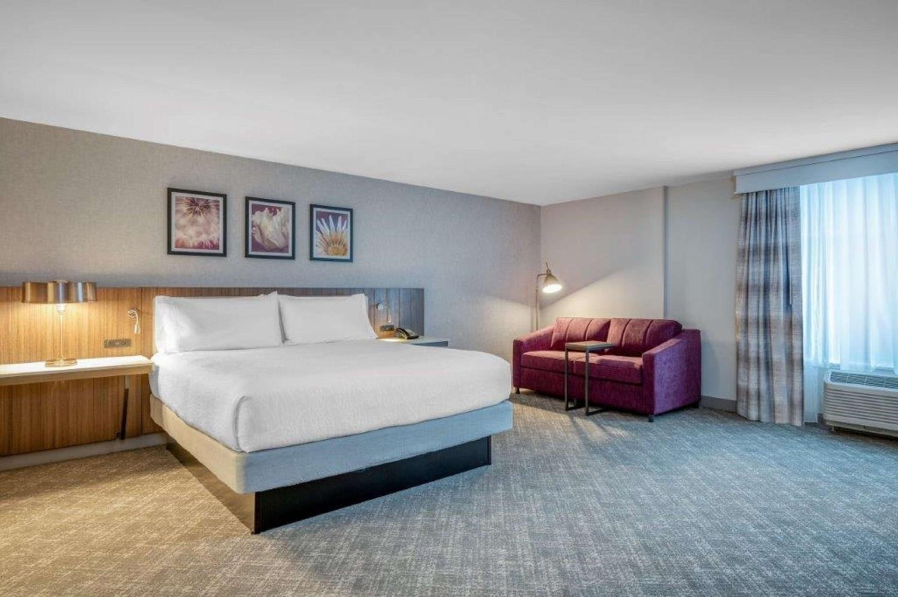 King Studio Suite