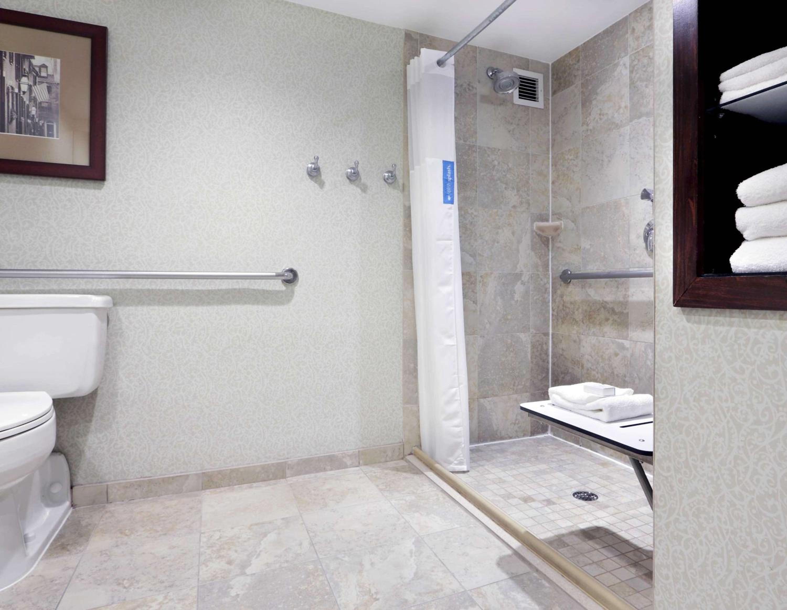 Full Room with Roll-In Shower and Sofa Bed - Mobility Access photo 3