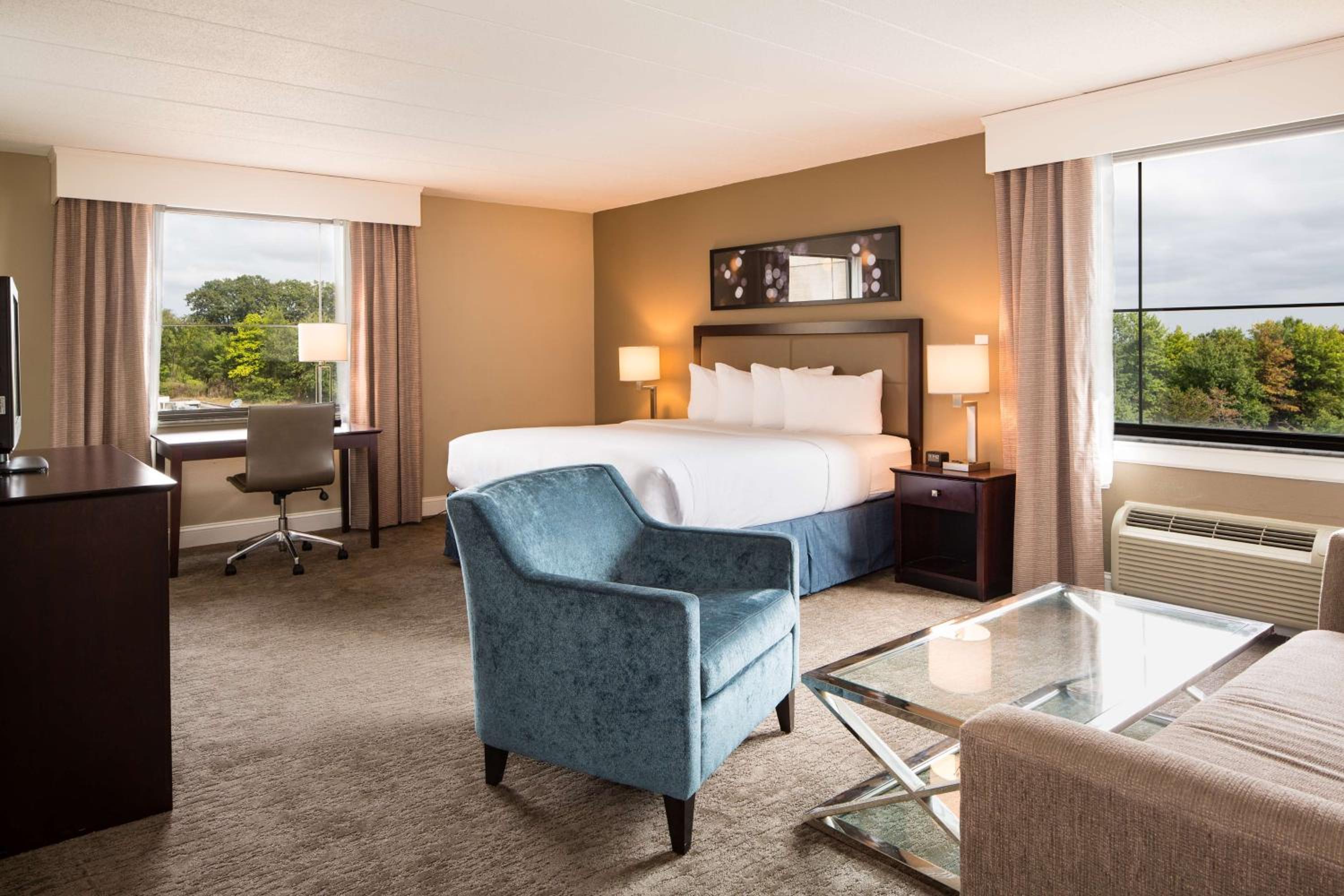 Junior King Suite with Sofa Bed