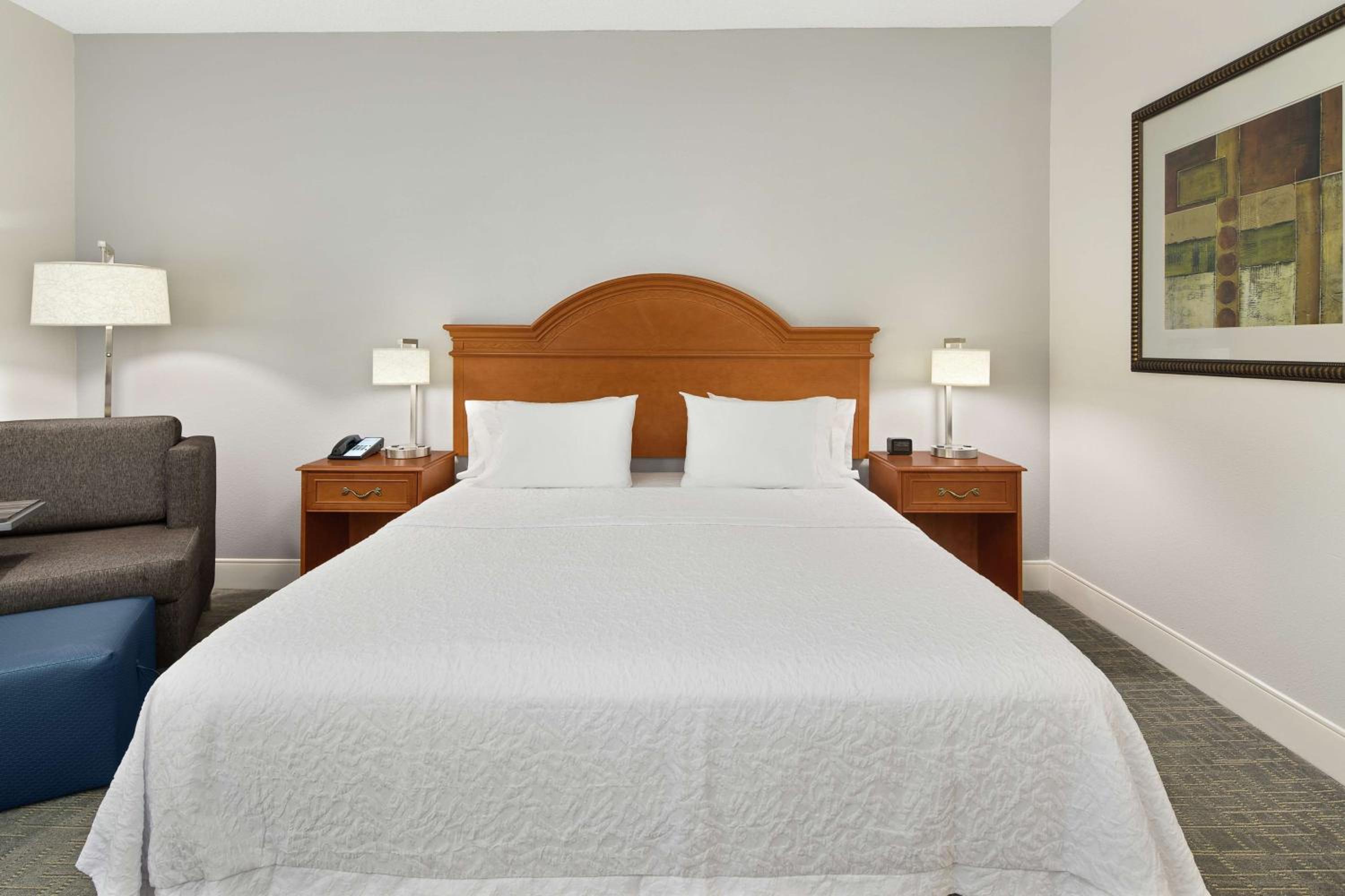 King Room with Accessible Tub - Mobility and Hearing Access/Non-Smoking - Photo 3