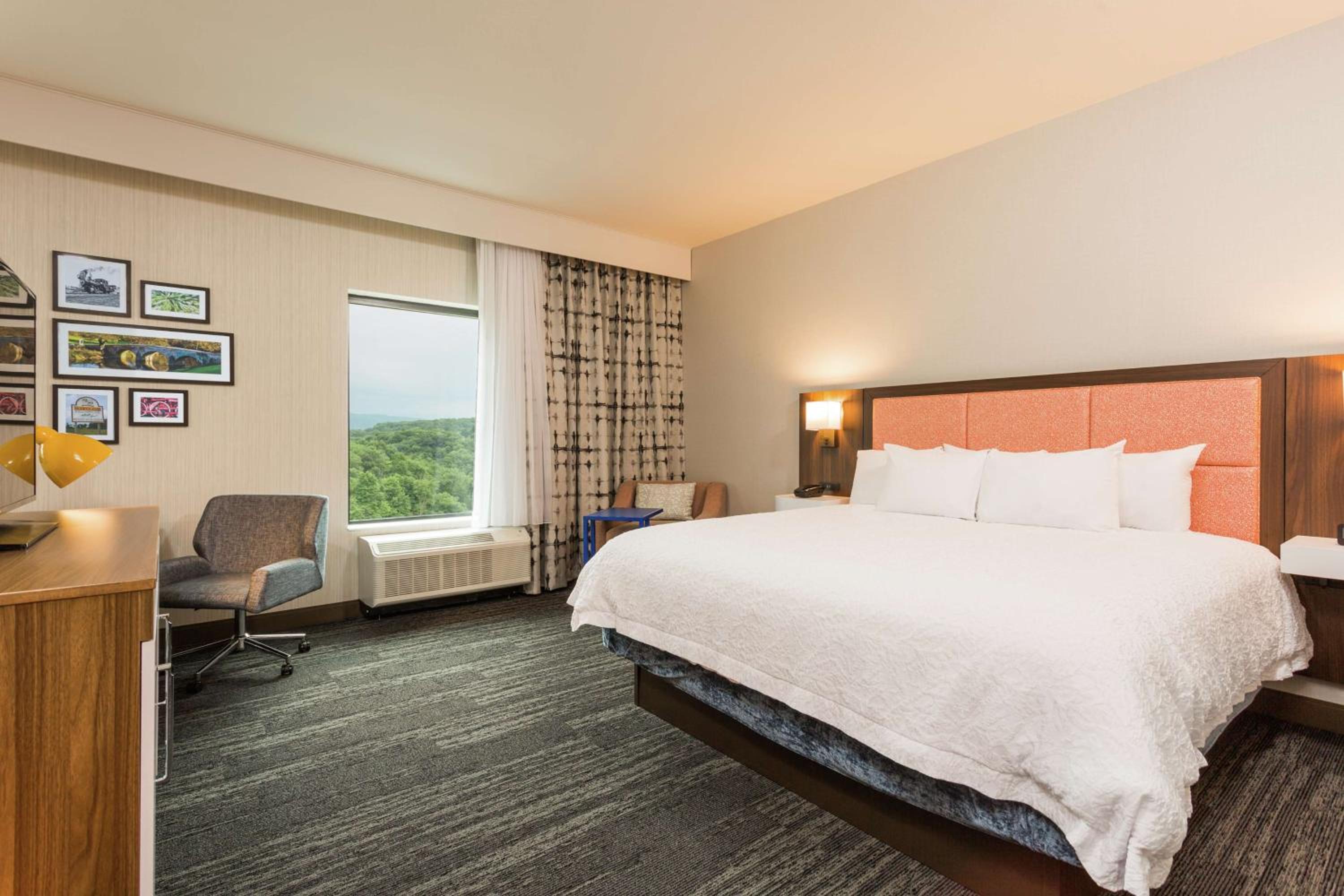 King Room photo 1