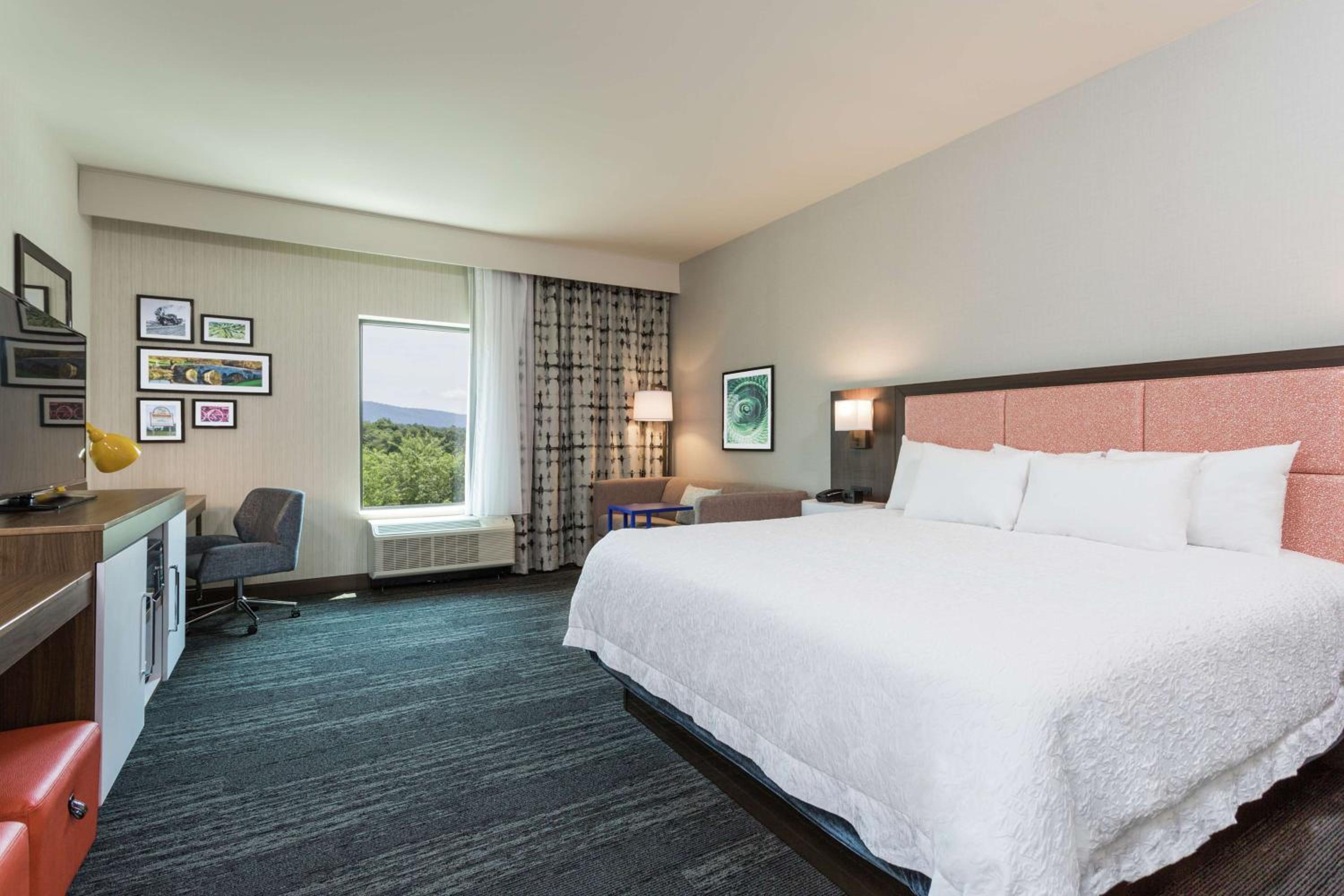 Deluxe King Room photo 3