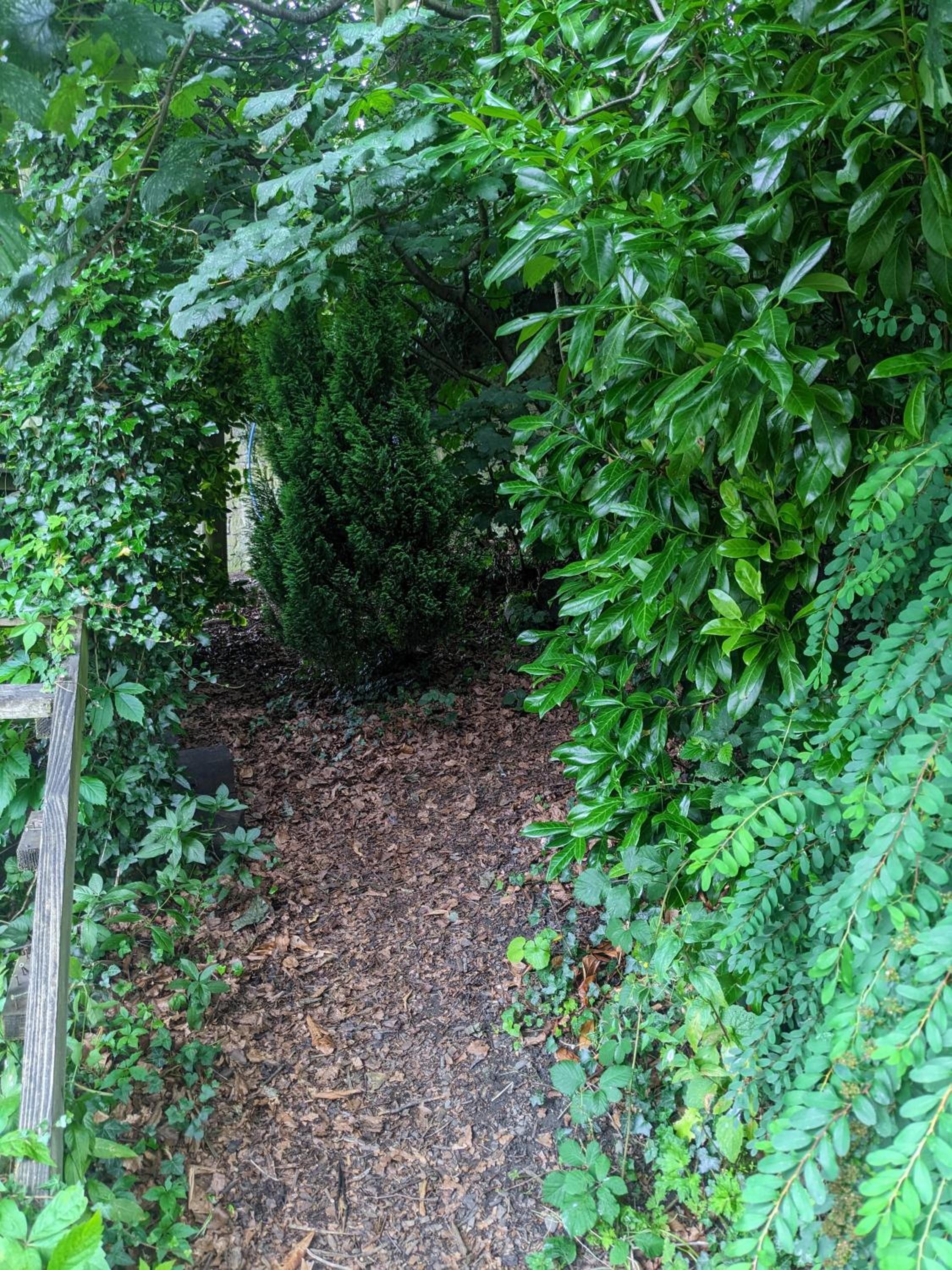 Quadruple Room with Garden View - Photo 18
