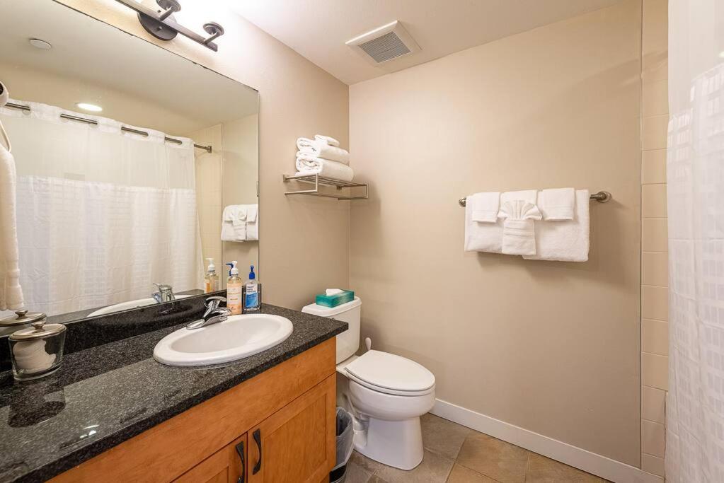Studio Apartment photo 3