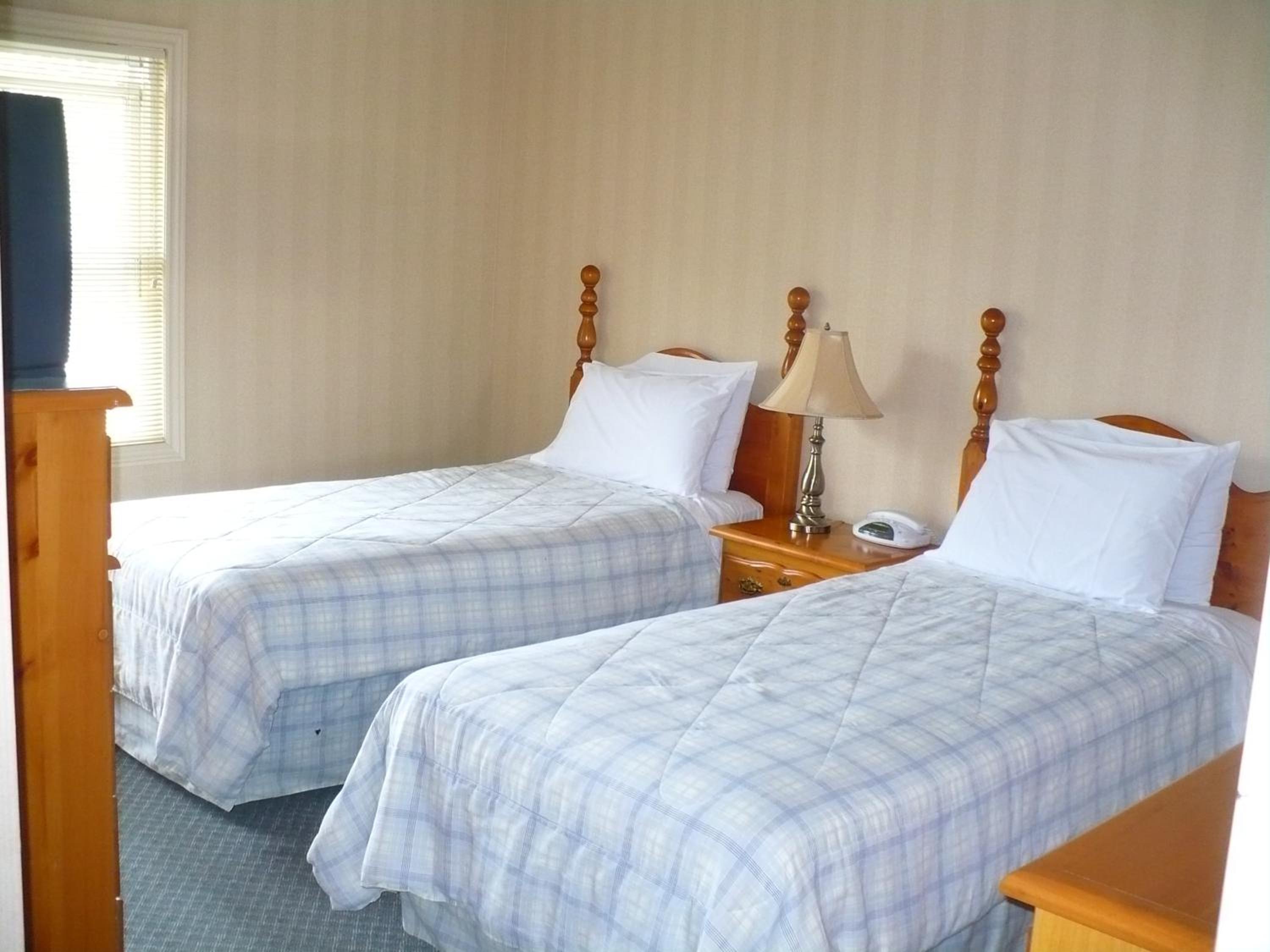 Twin Room photo 2