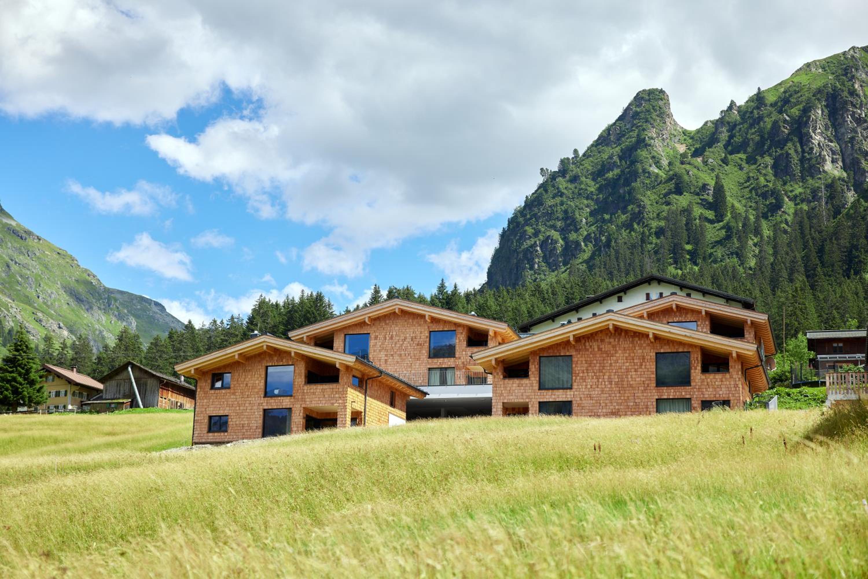 Ski in – Ski out Chalet 5 photo 3