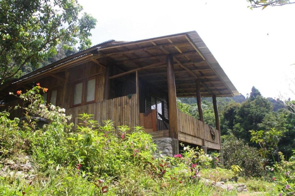 Bungalow with Garden View photo 3