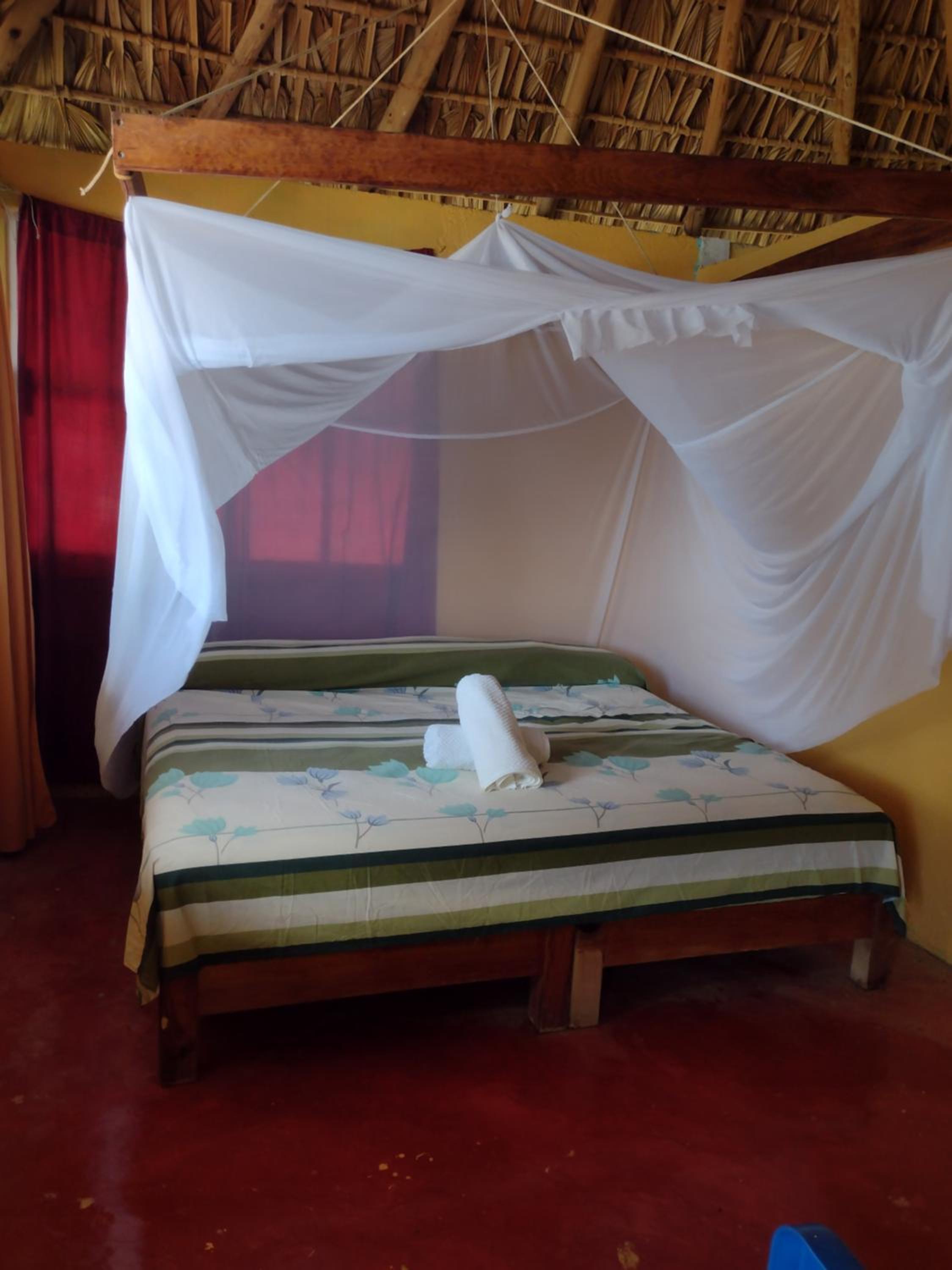 King Room photo 1