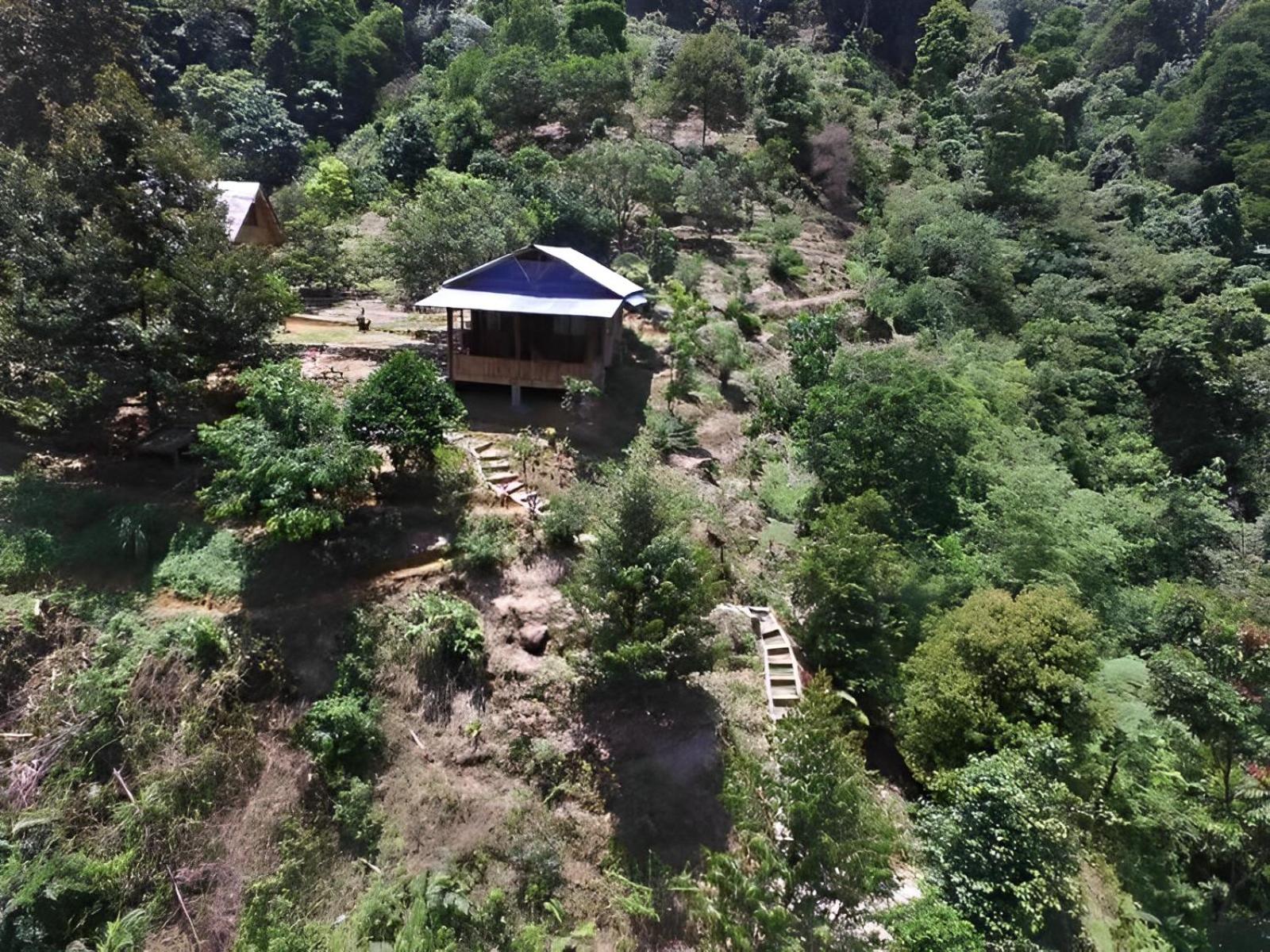 Bungalow with Garden View photo 2