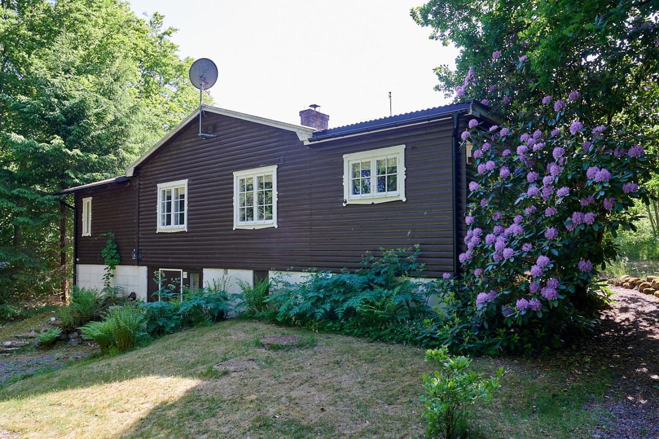 Three-Bedroom House photo 3