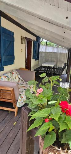Duplex Apartment photo 1