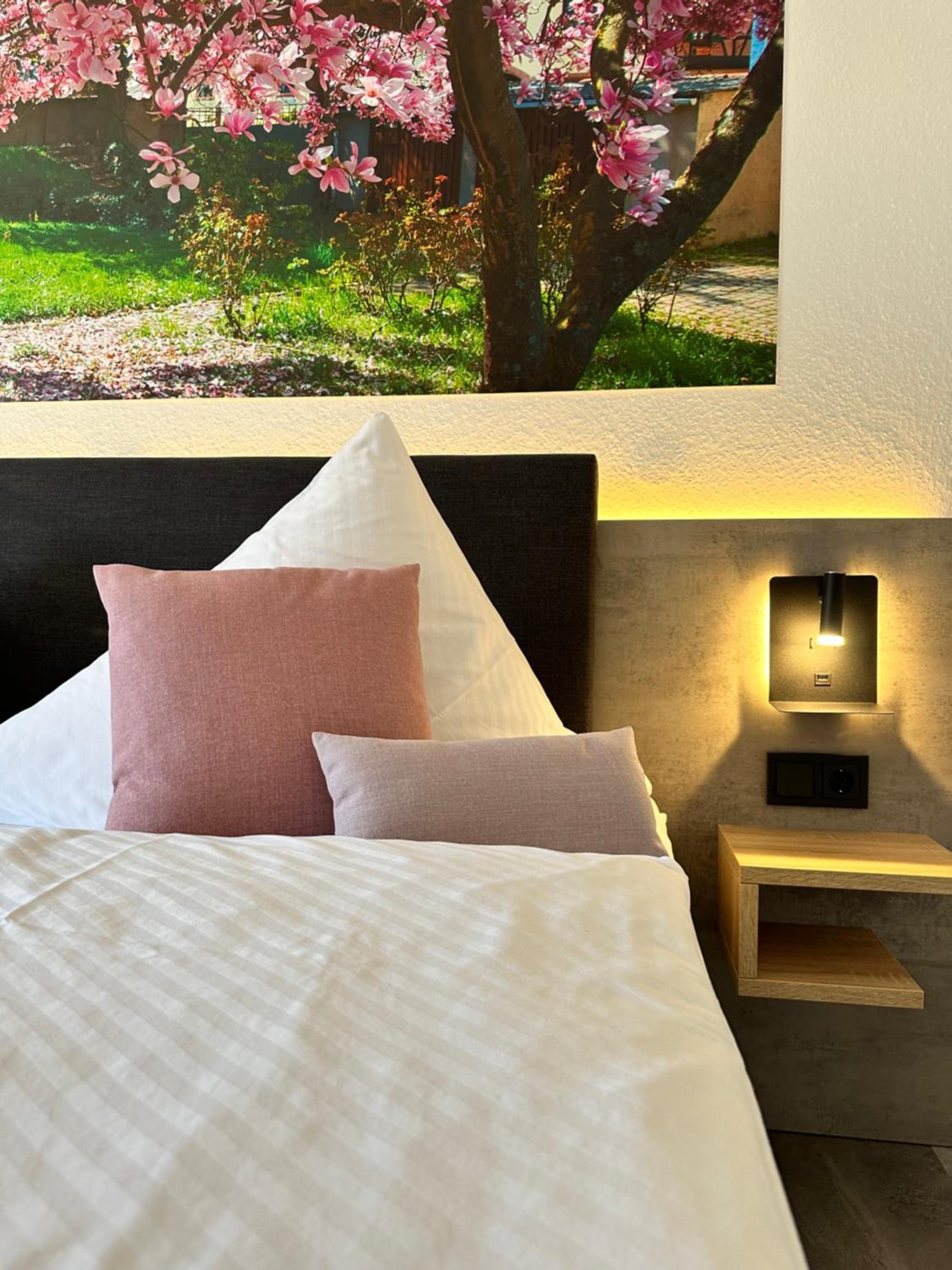 Superior Double Room photo 3