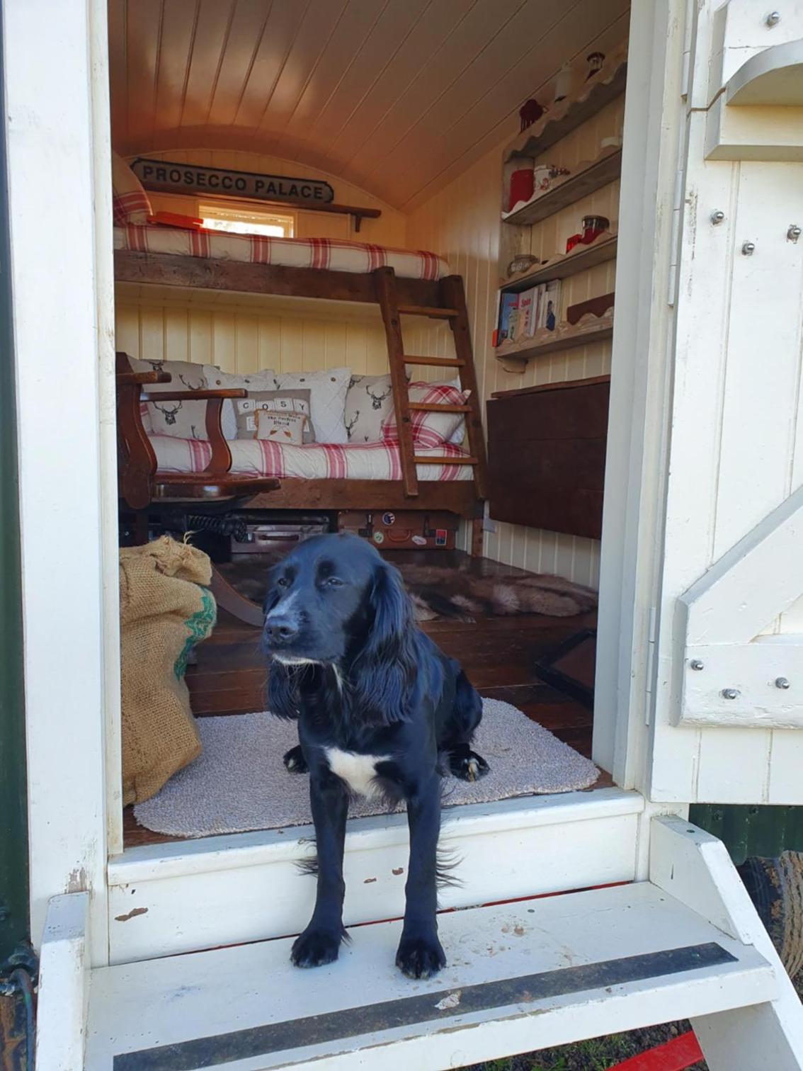  Shepherd's Huts photo 2