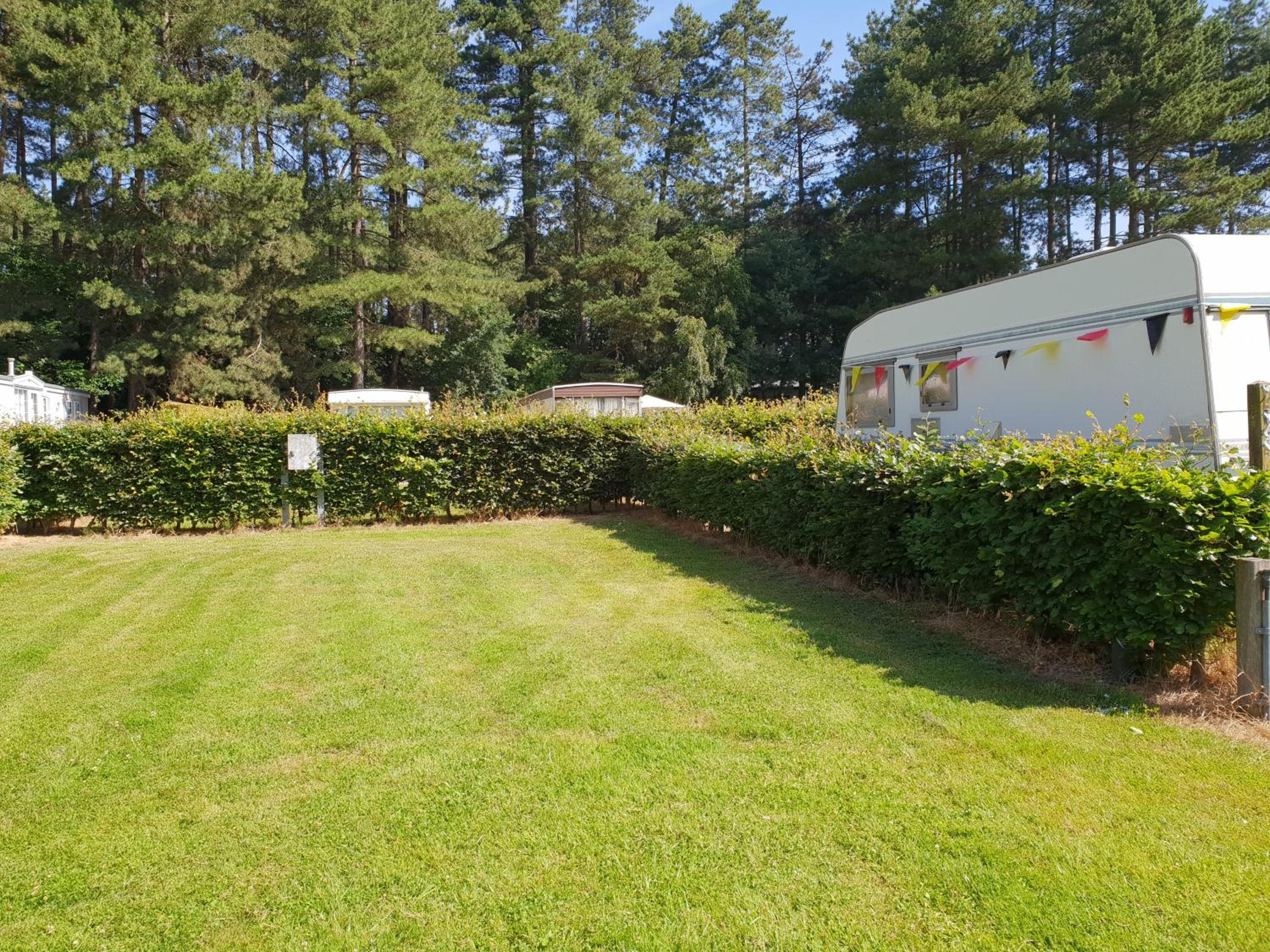 Empty lot - Tent (bring your own tent) photo 3
