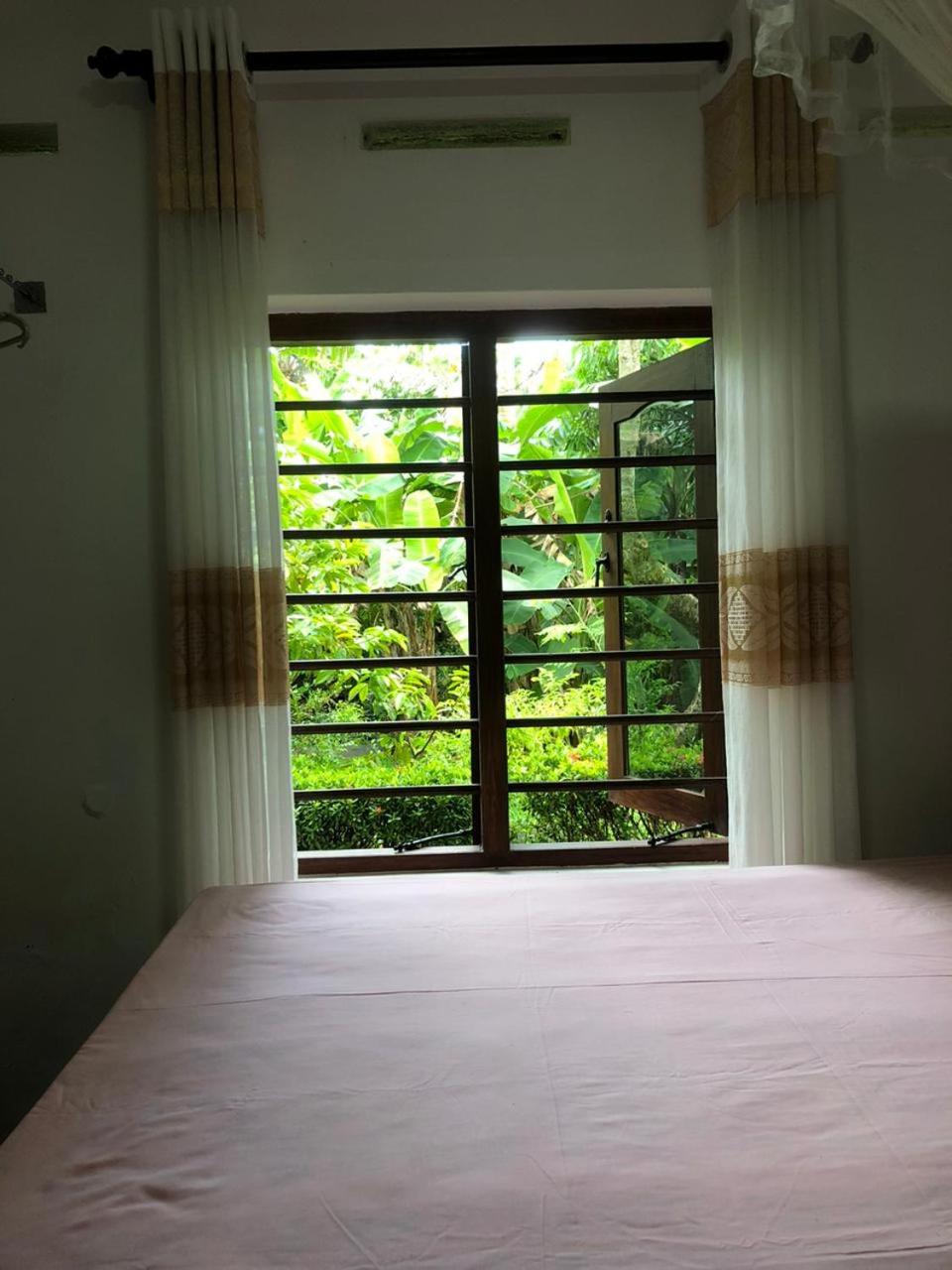 Single Room with Garden View photo 2