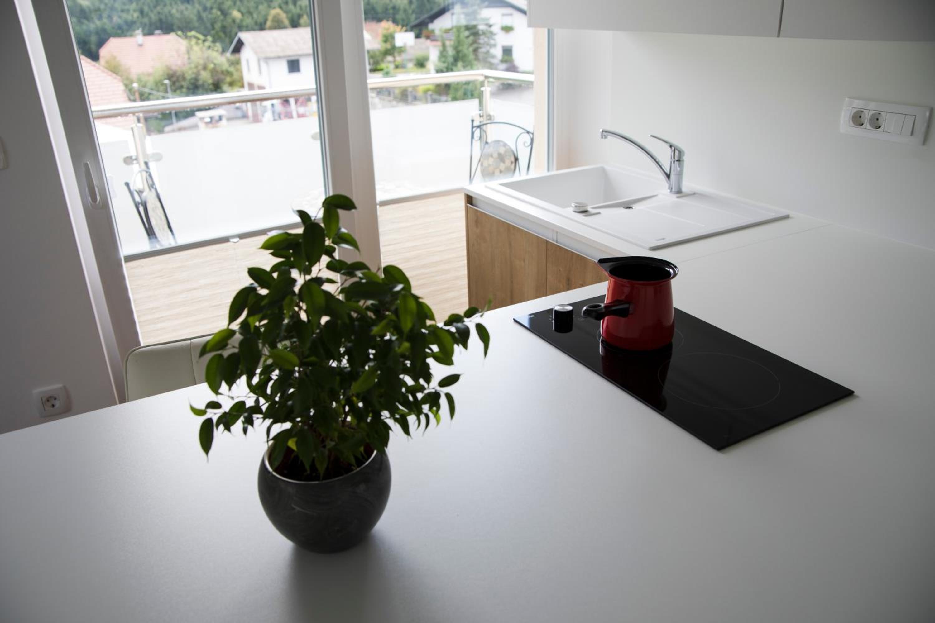 Apartment - Photo 2